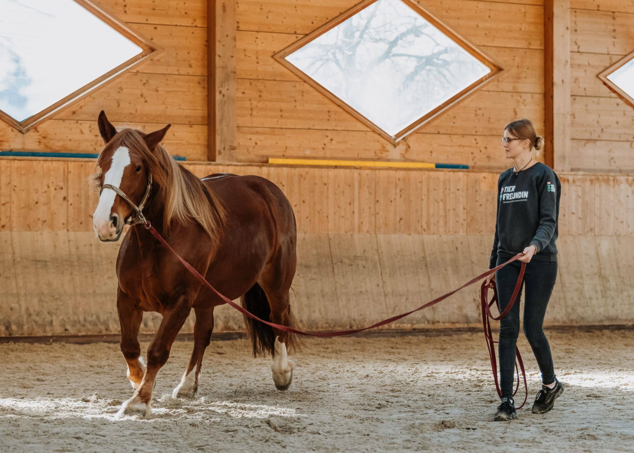 Die einzigartige Pferdeklappe in Reutte warnt vor Online-Käufen.