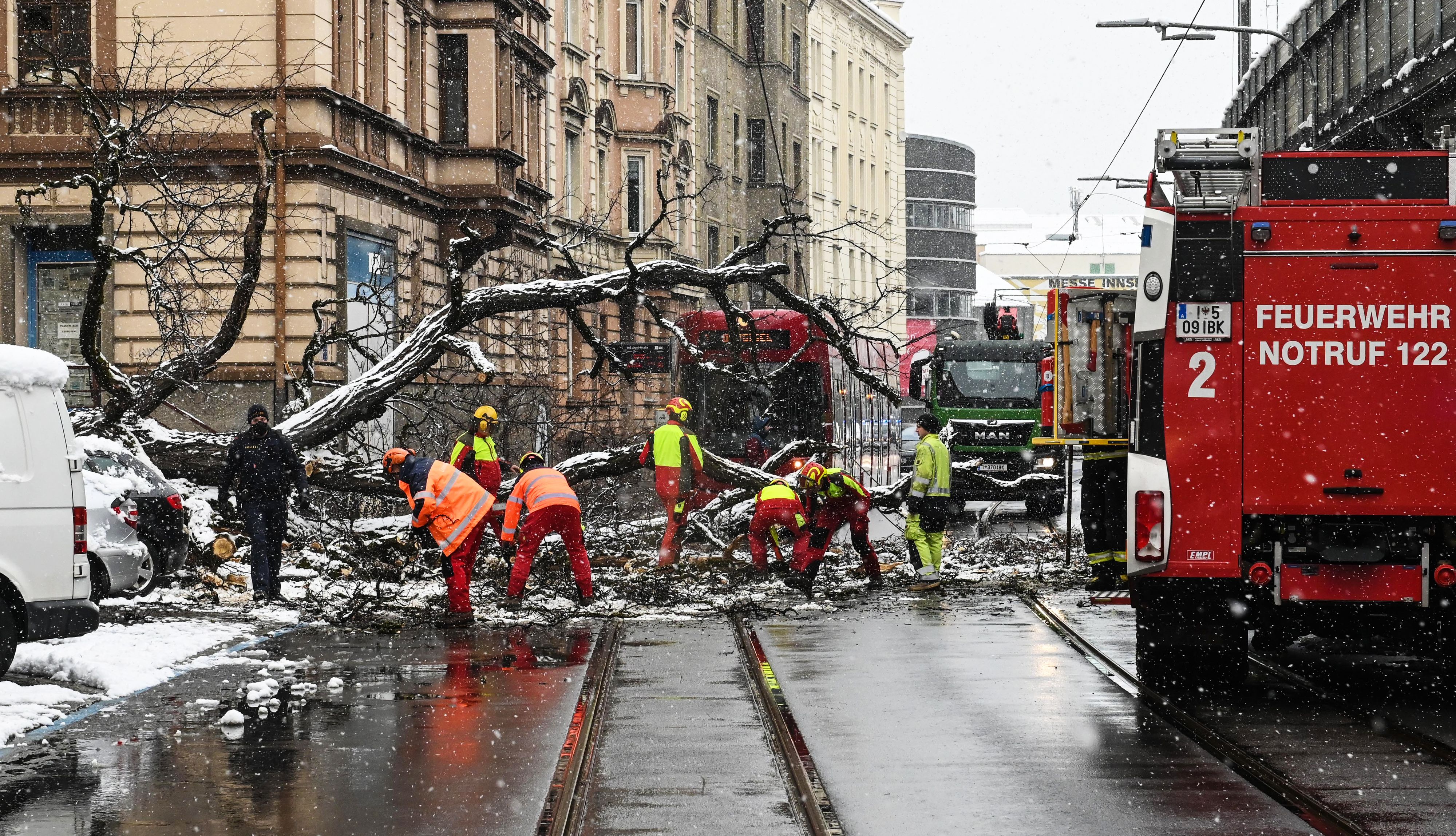 Der riesige Baum traf Semira mit voller Wucht! Das Bild zeigt den Rettungseinsatz am Morgen des 22. März 2021 in Innsbruck.