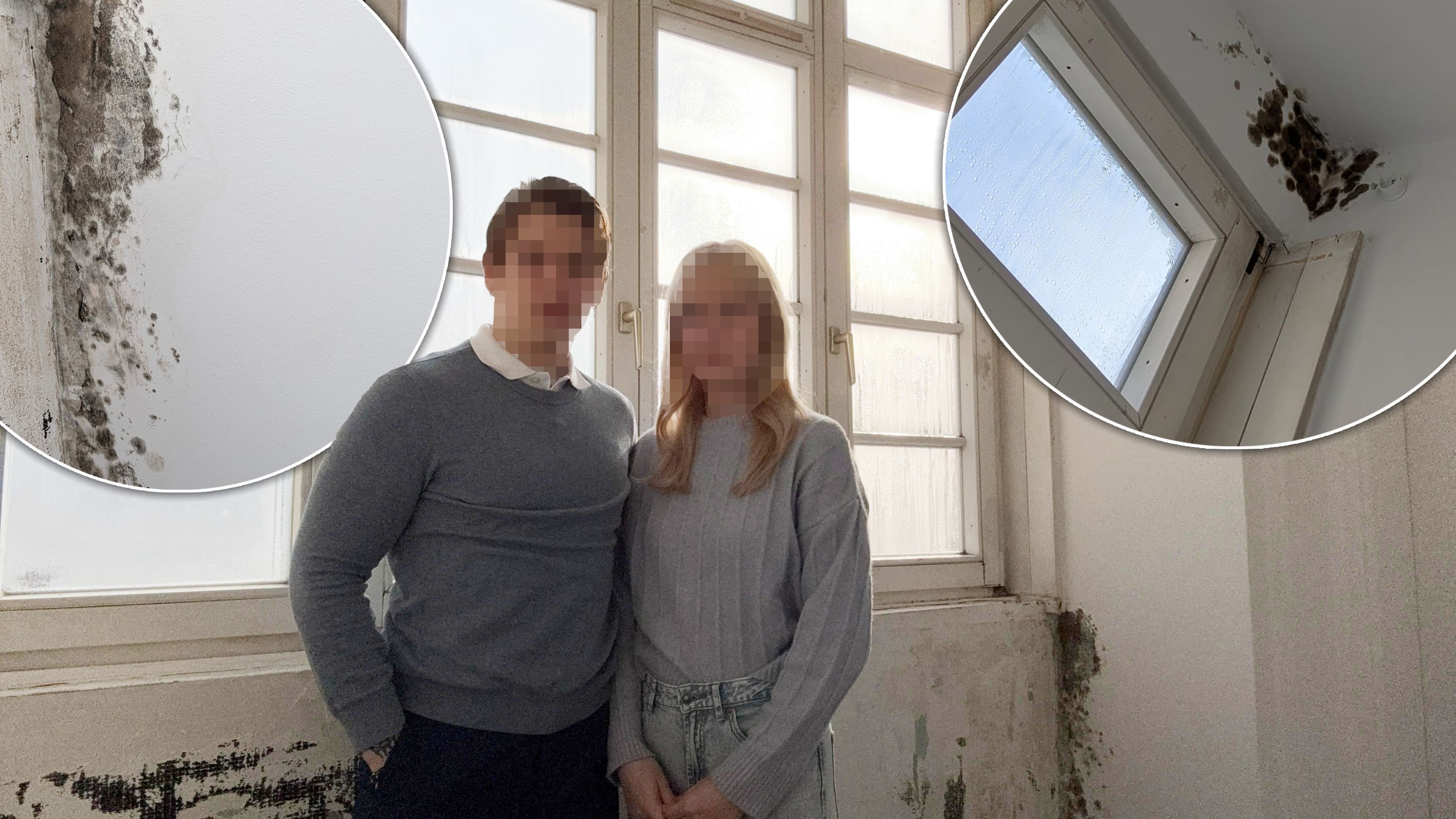 Eigentlich träumte das Wiener Paar von Nachwuchs, seit Monaten kämpfen sie in der Wohnung mit Schimmelbefall.