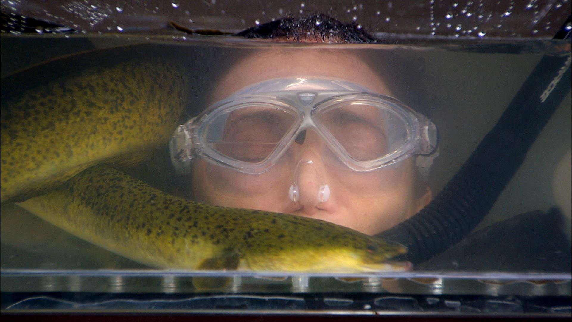 Lilly Becker tritt zu ihrer finalen Prüfung an: Dschungelprüfung 