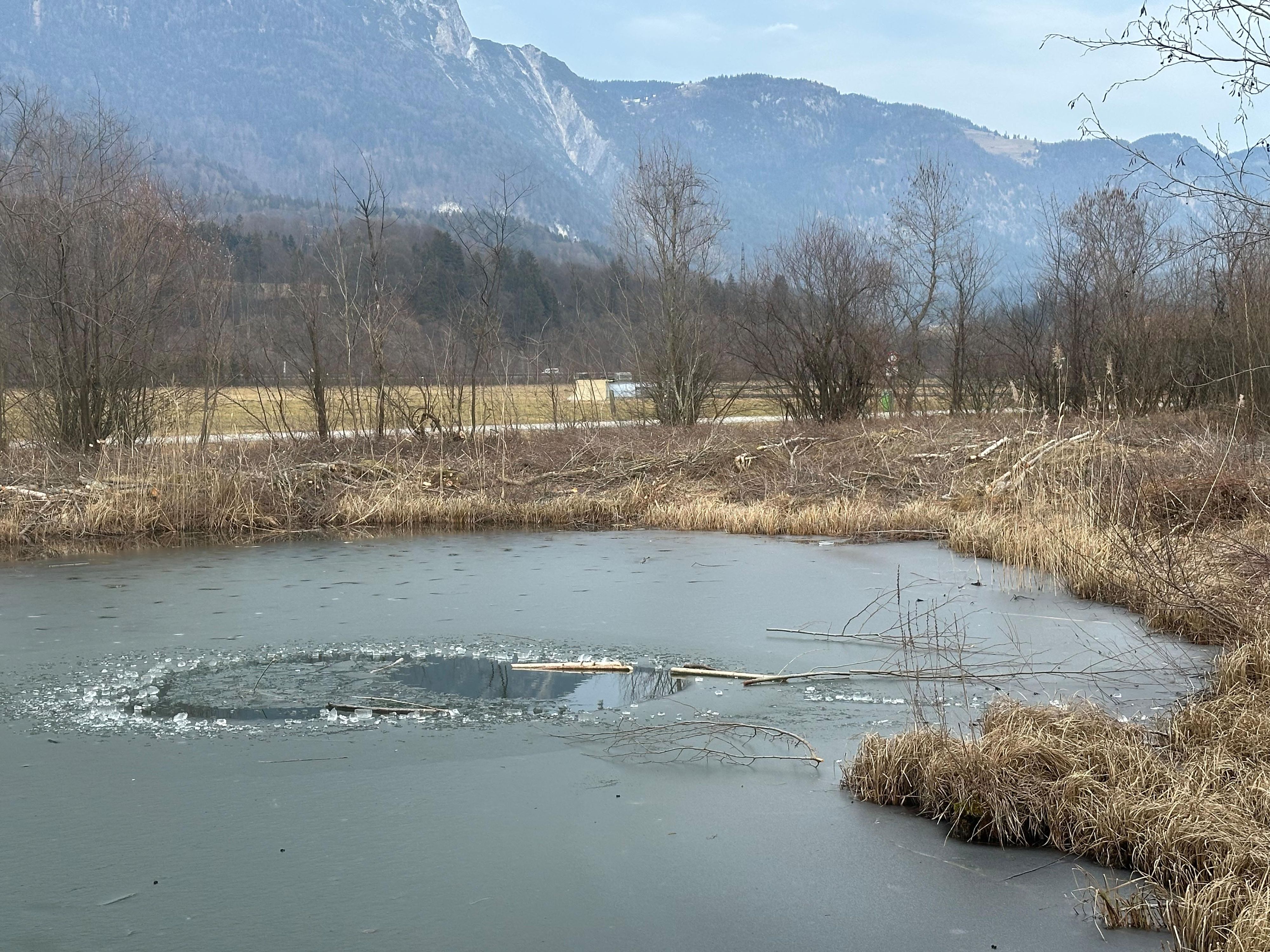  Radfeld-Lebensrettung einer Frau aus Teich durch zwei Radfahrer -Fotocredit: ZOOM.TIROL 