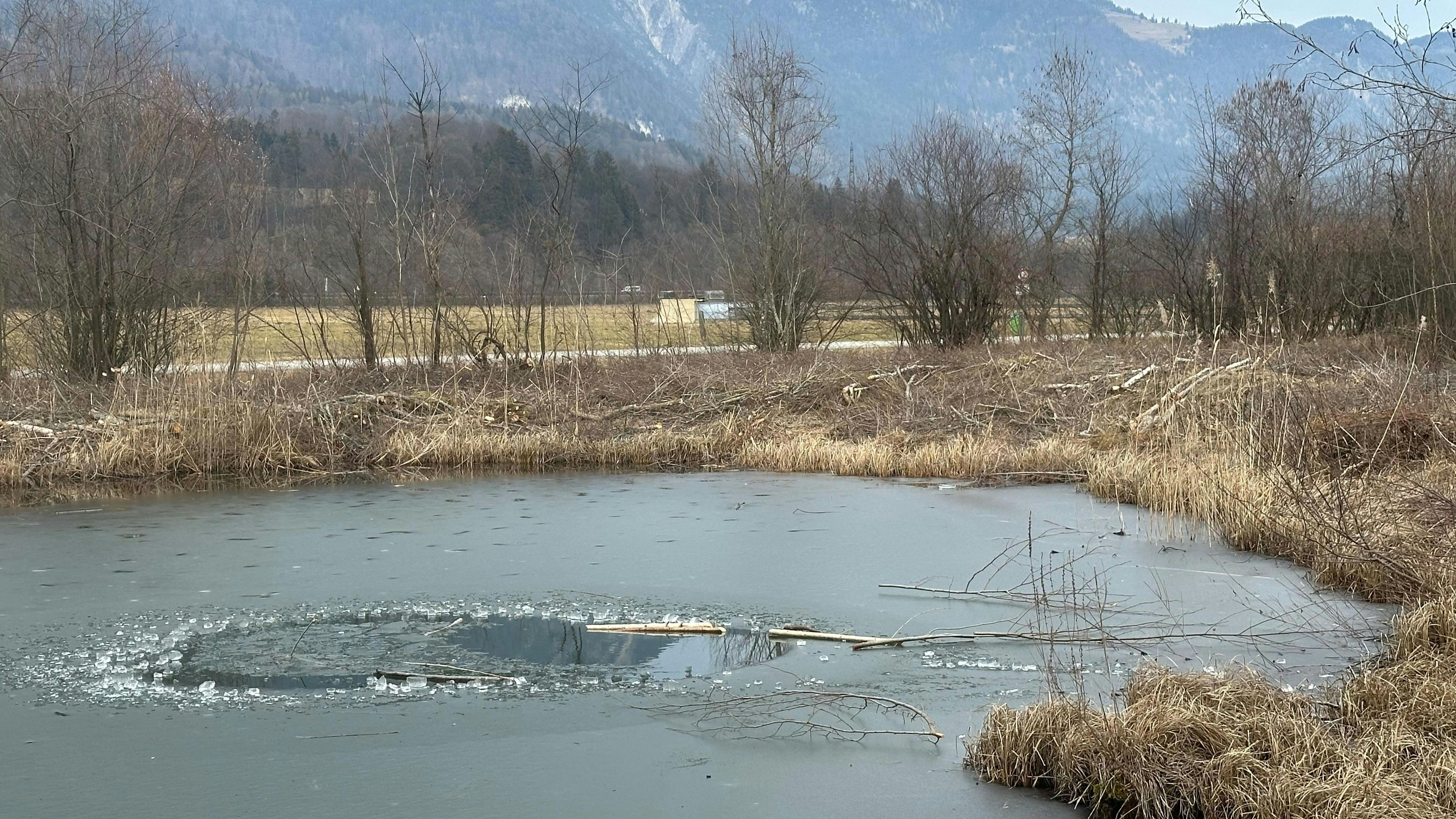  Radfeld-Lebensrettung einer Frau aus Teich durch zwei Radfahrer -Fotocredit: ZOOM.TIROL 