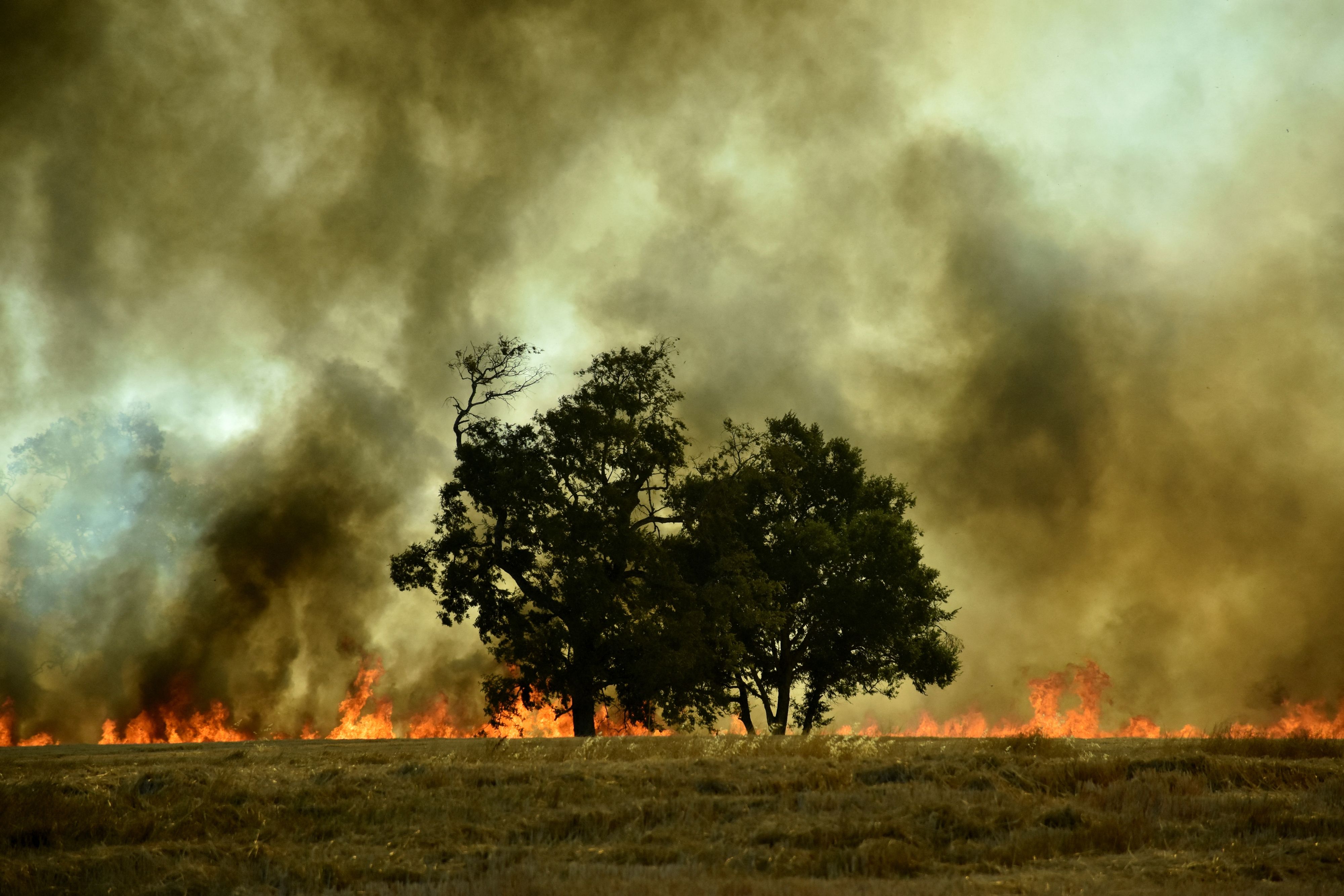 Rauchschwaden und Flammen-Infernos halten die chilenischen Einsatzkräfte seit Tagen auf Trab.