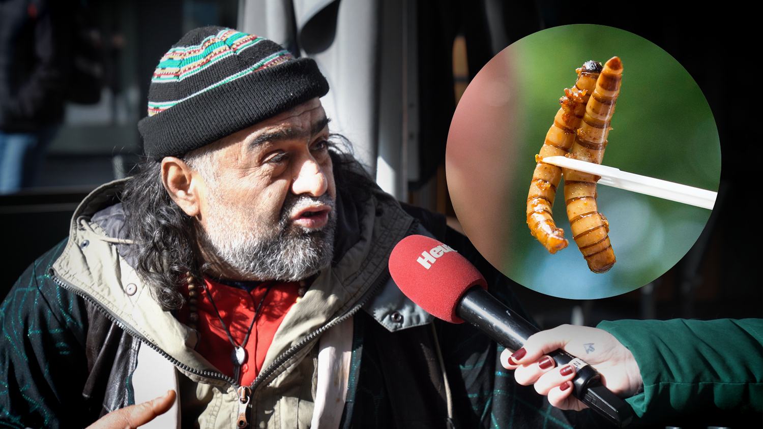 Für Ajman sind Mehlwürmer 