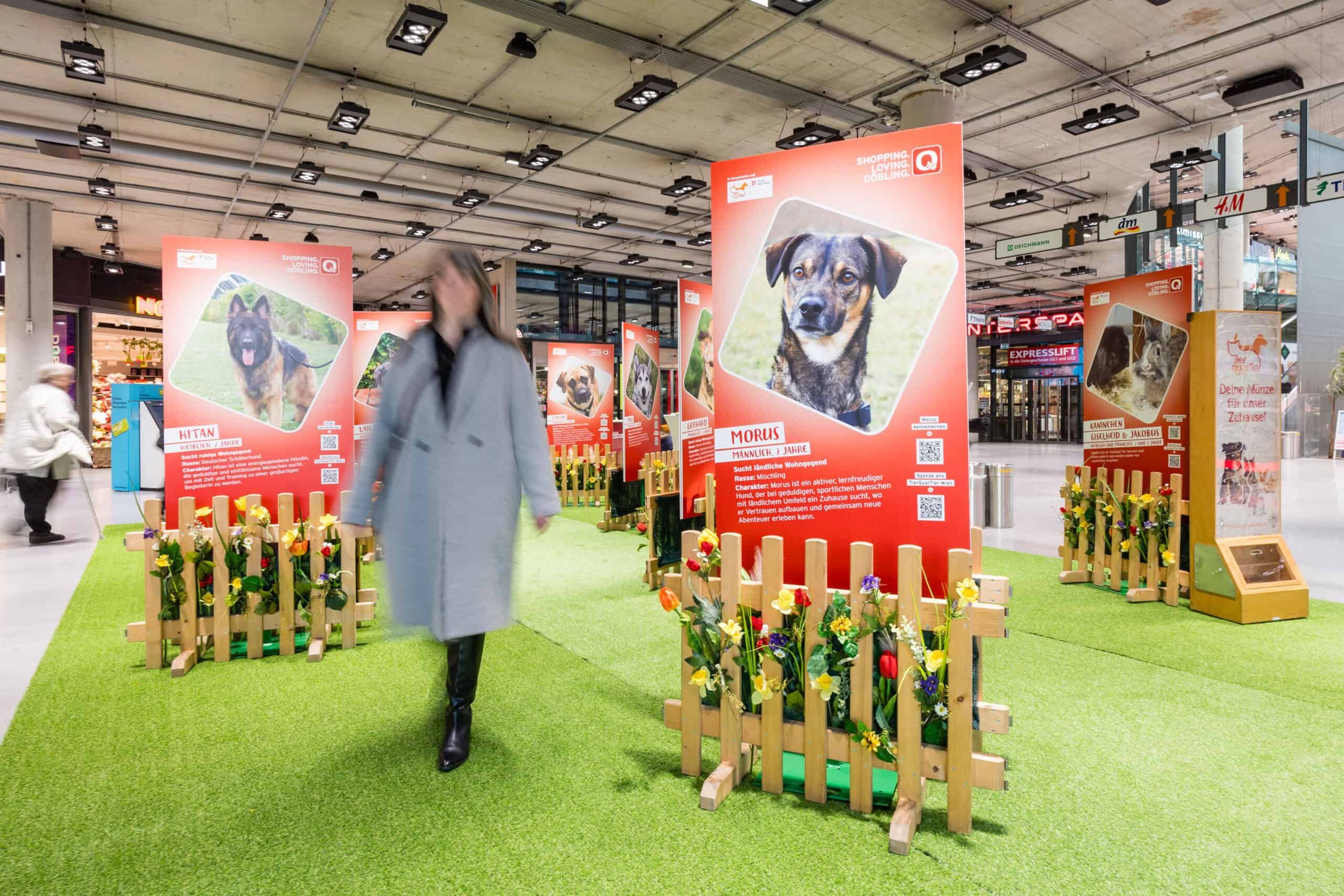 Im Q19, Einkaufsquartier Döbling findet 