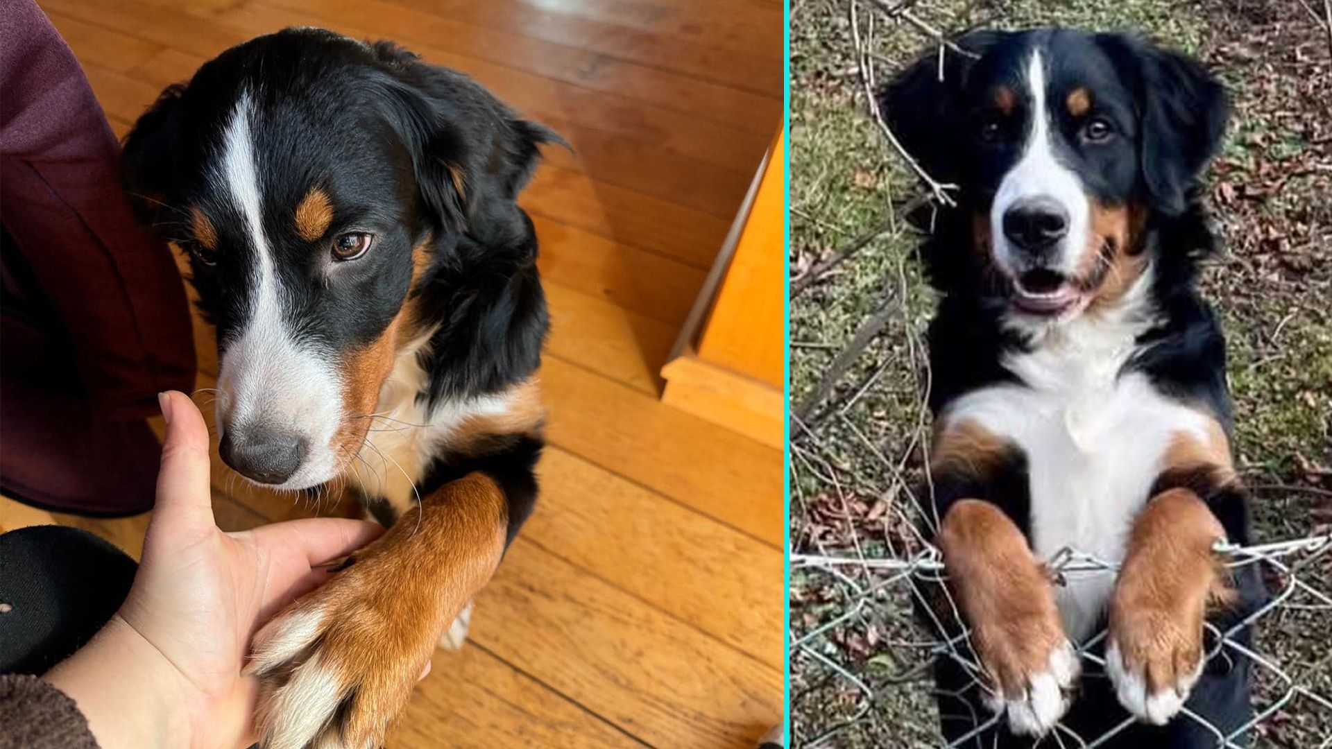 Wer hat die hübsche 