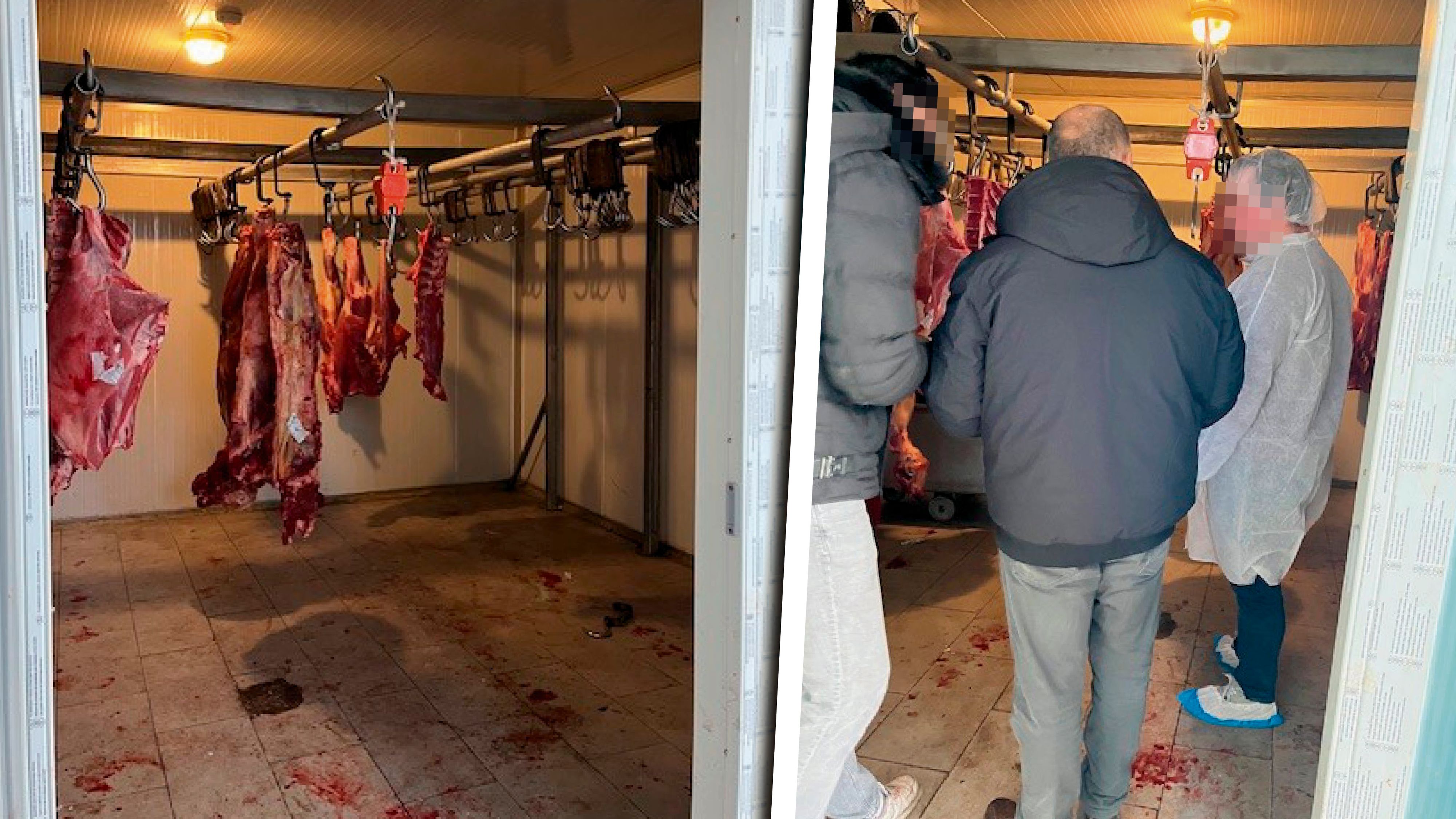 Das EInsatzteam Stadt Wien kontrollierte eine illegale Fleischerei in Wien-Ottakring.