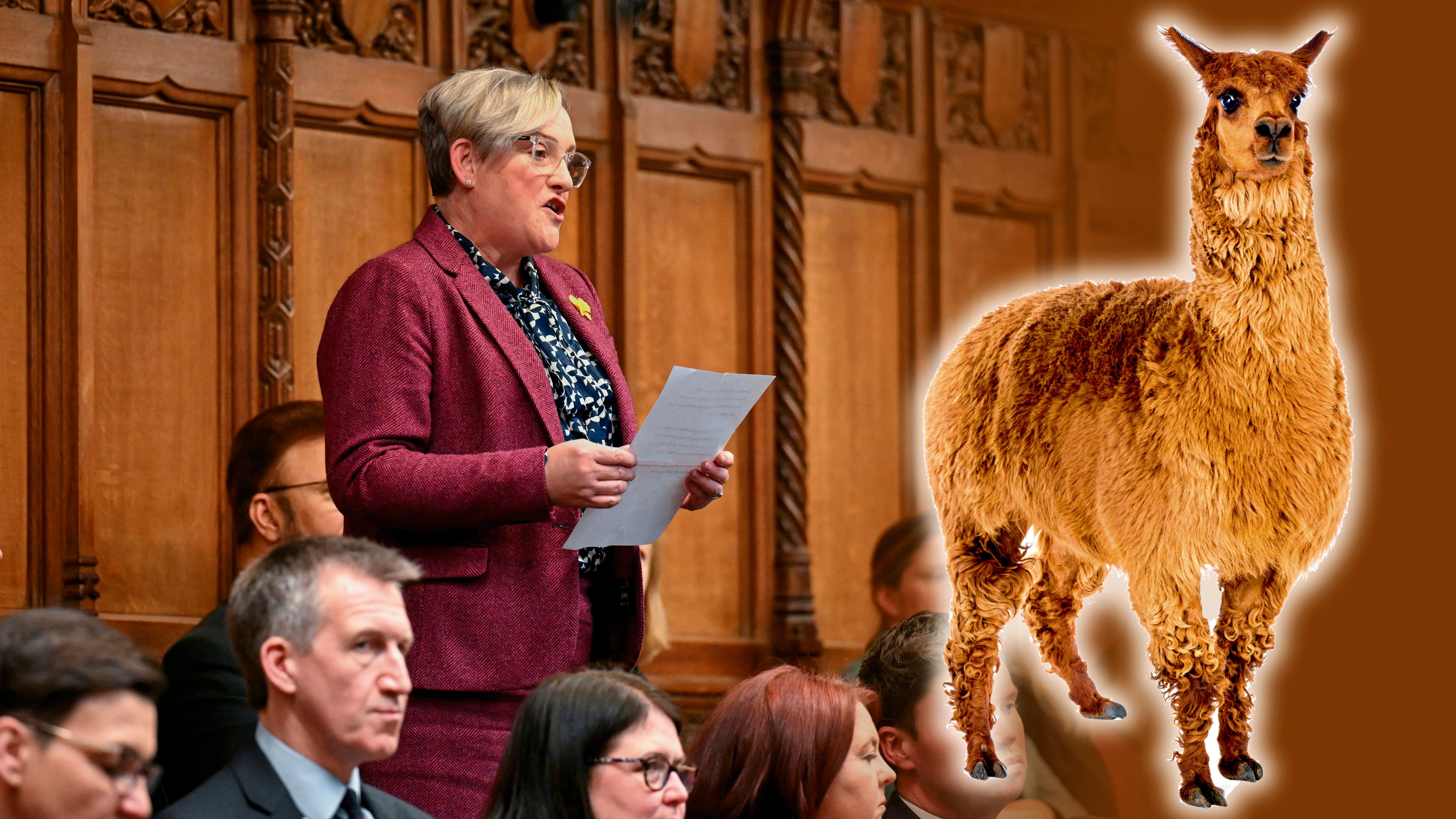 Die neue britische Gesundheitsministerin Ashley Dalton eckt mit ihren 