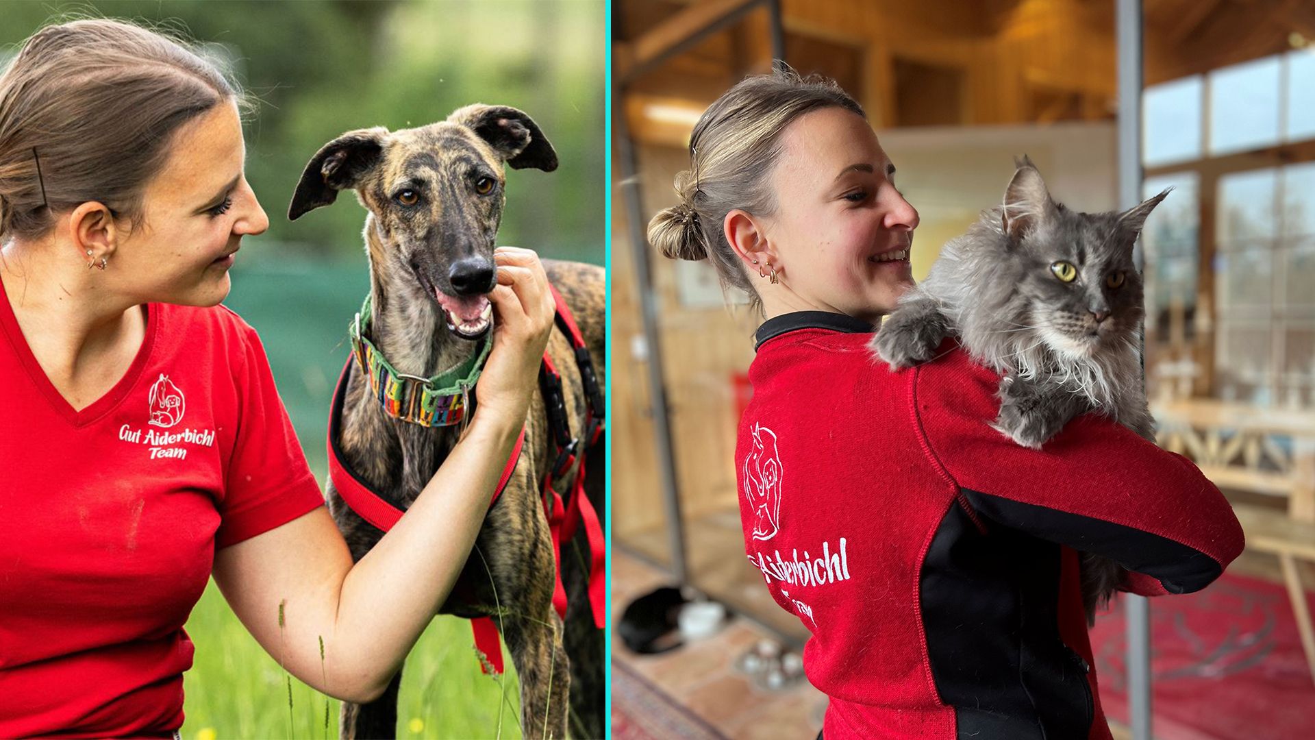 Ob Hund, ob Katz, Esel oder Kamel – auf Gut Aiderbichl findet jede Tierart ein schönes Heim.