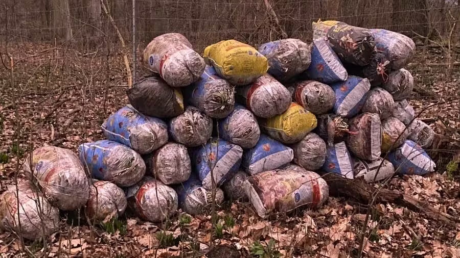 Die Polizei Leipzig will mit einer speziellen "Bärlauch-Streife" die Diebe stoppen.
