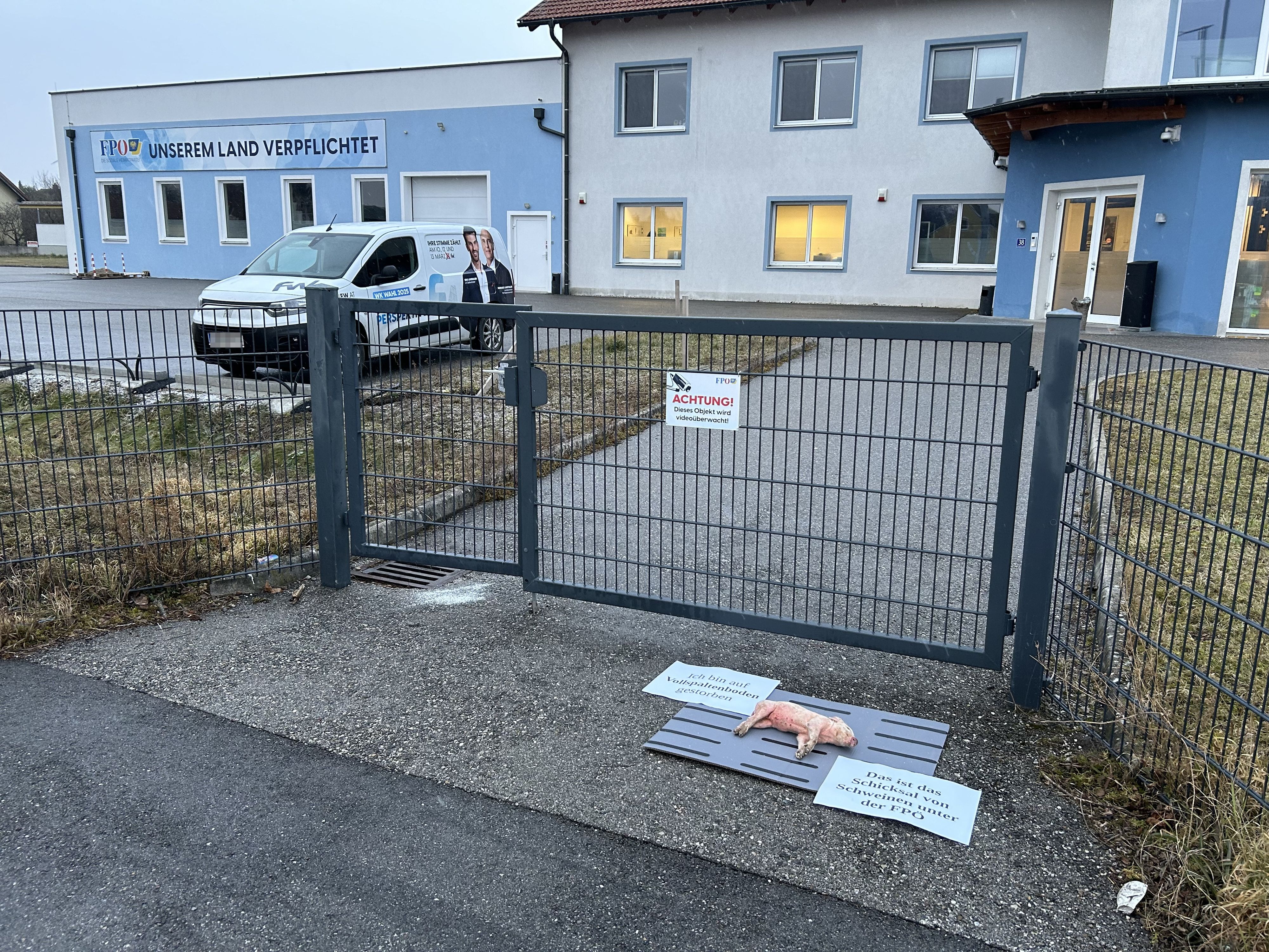 Totes Schwein vor FPÖ-Zentrale.