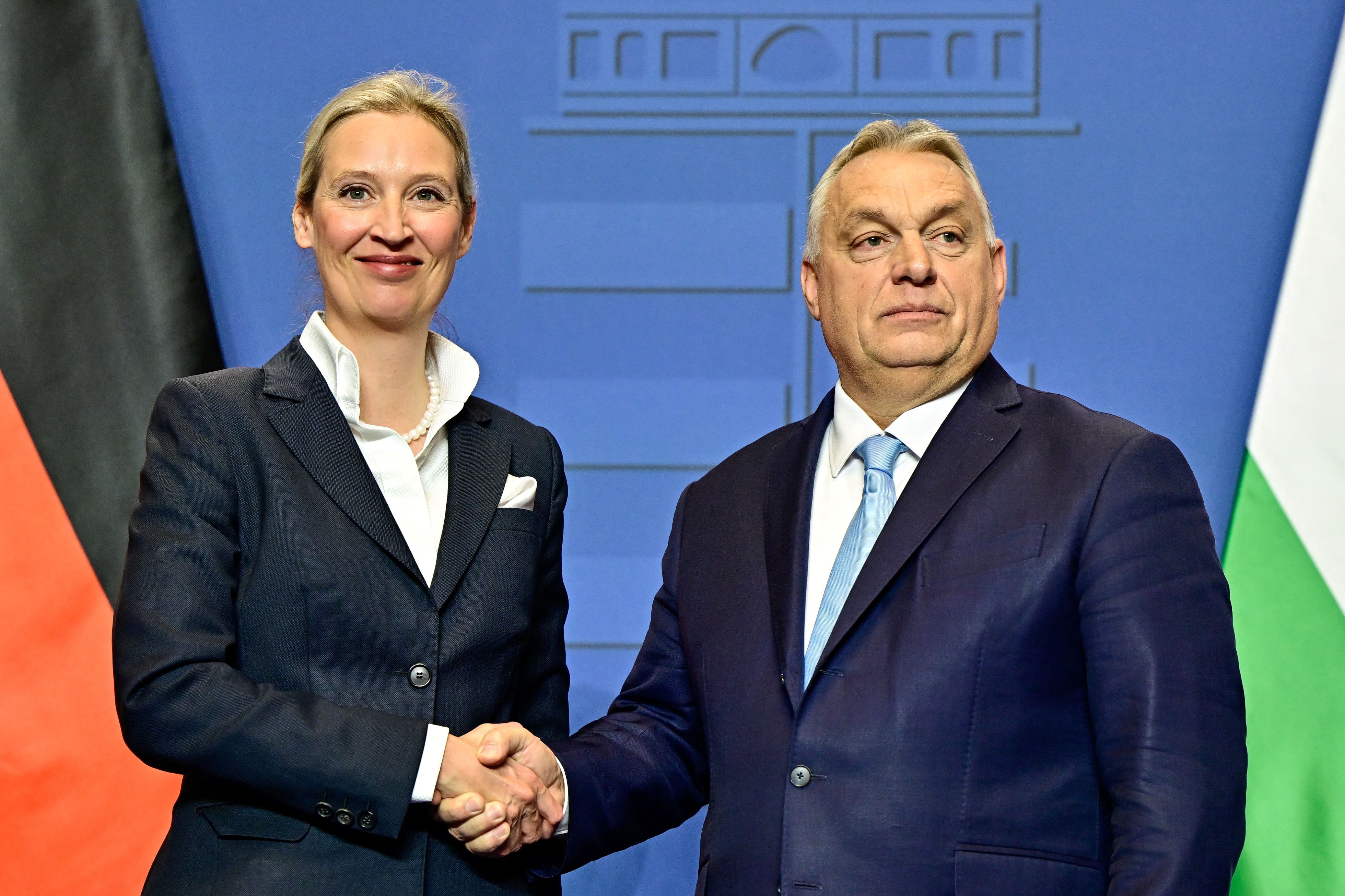 Am Mittwoch reiste AfD-Chefin Alice Weidel nach Ungarn, um sich mit Ministerpräsident Viktor Orban zu treffen.