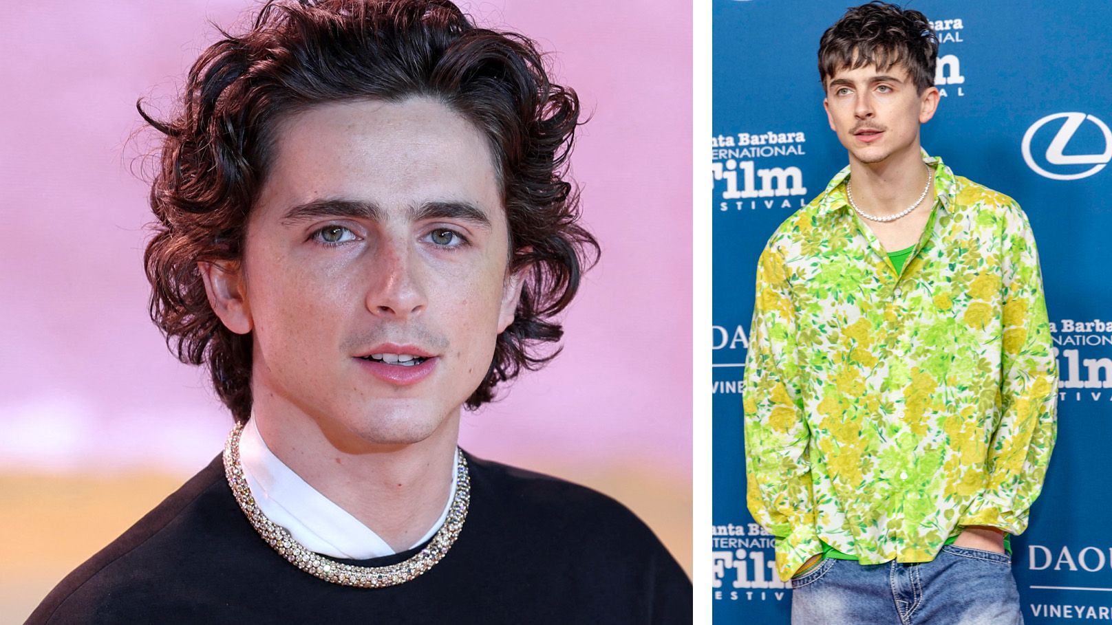  Timothée Chalamet hat sich verändert.