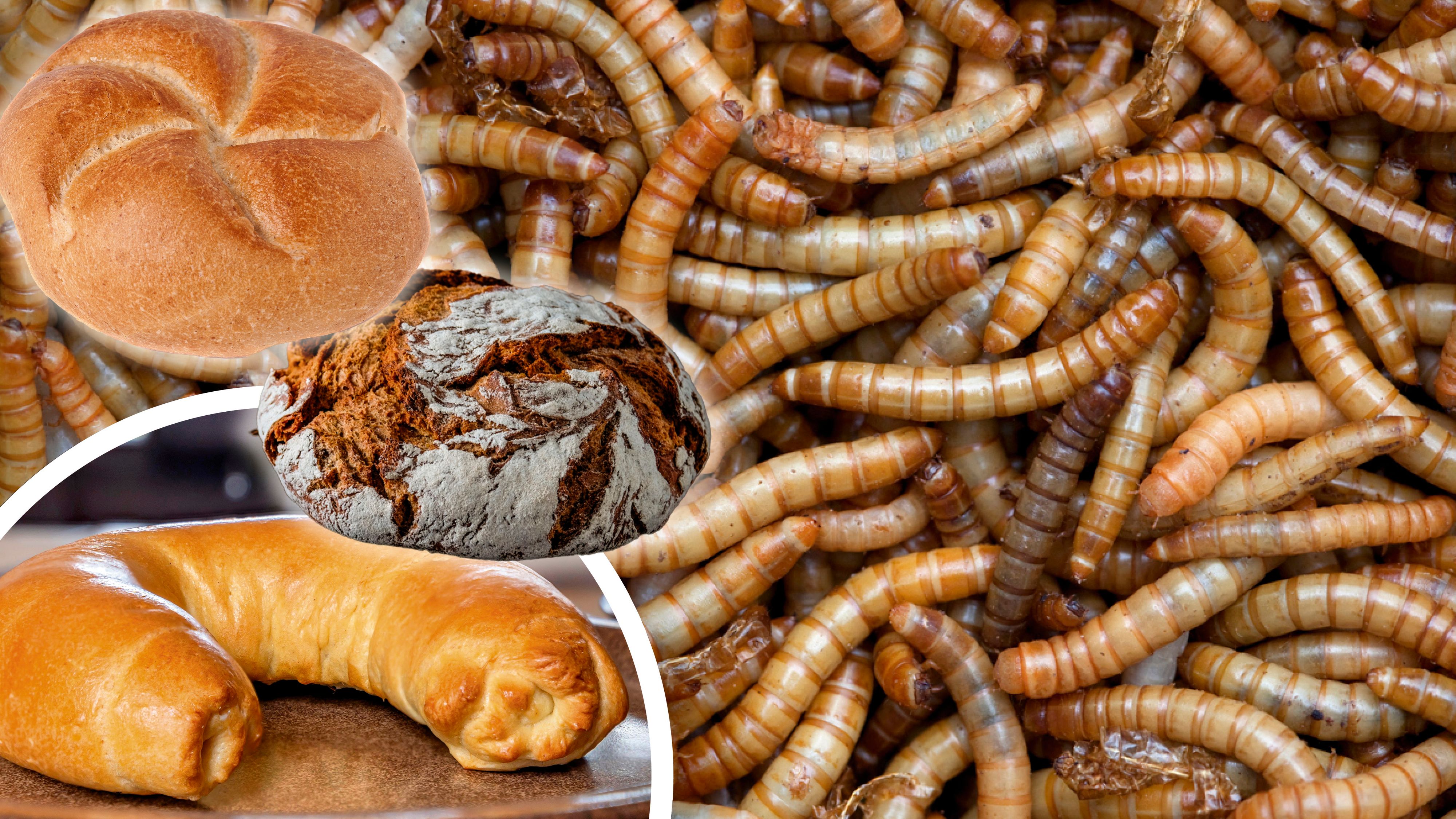 Gebäck darf seit 10. Februar Mehlwurmpulver enthalten.
