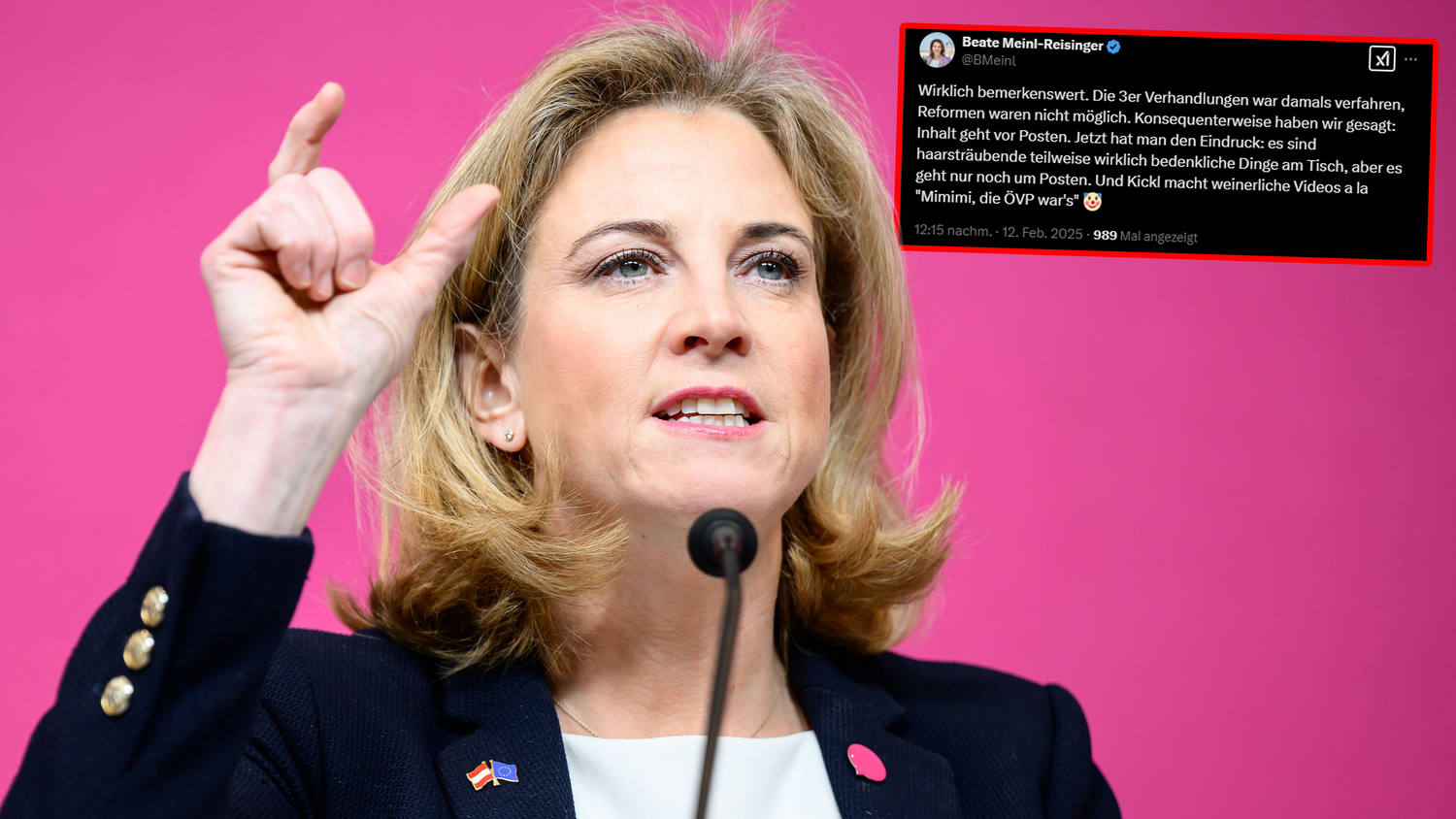 NEOS-Chefin Beate Meinl-Reisinger packte am Dienstag in einem Wut-Posting aus.