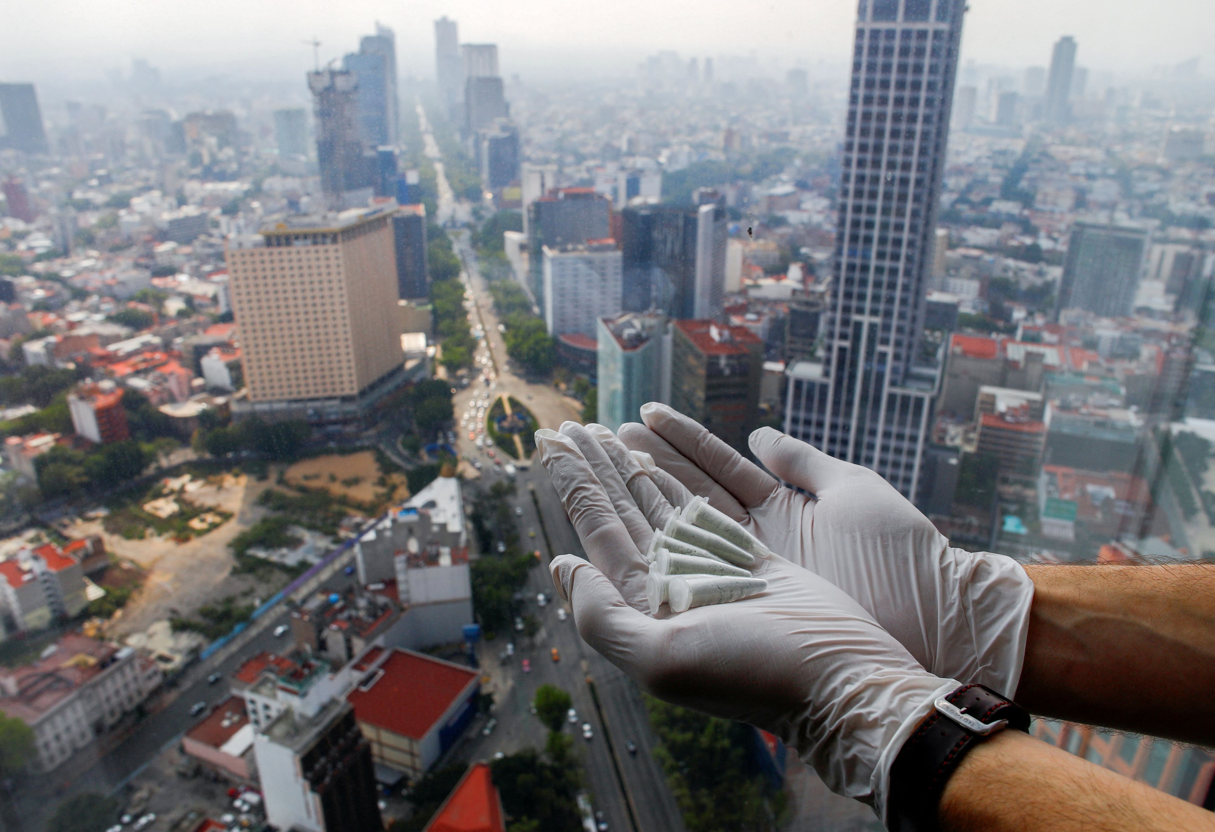 Der berüchtigte Händler wurde in Mexiko erschossen. (Symbolbild)