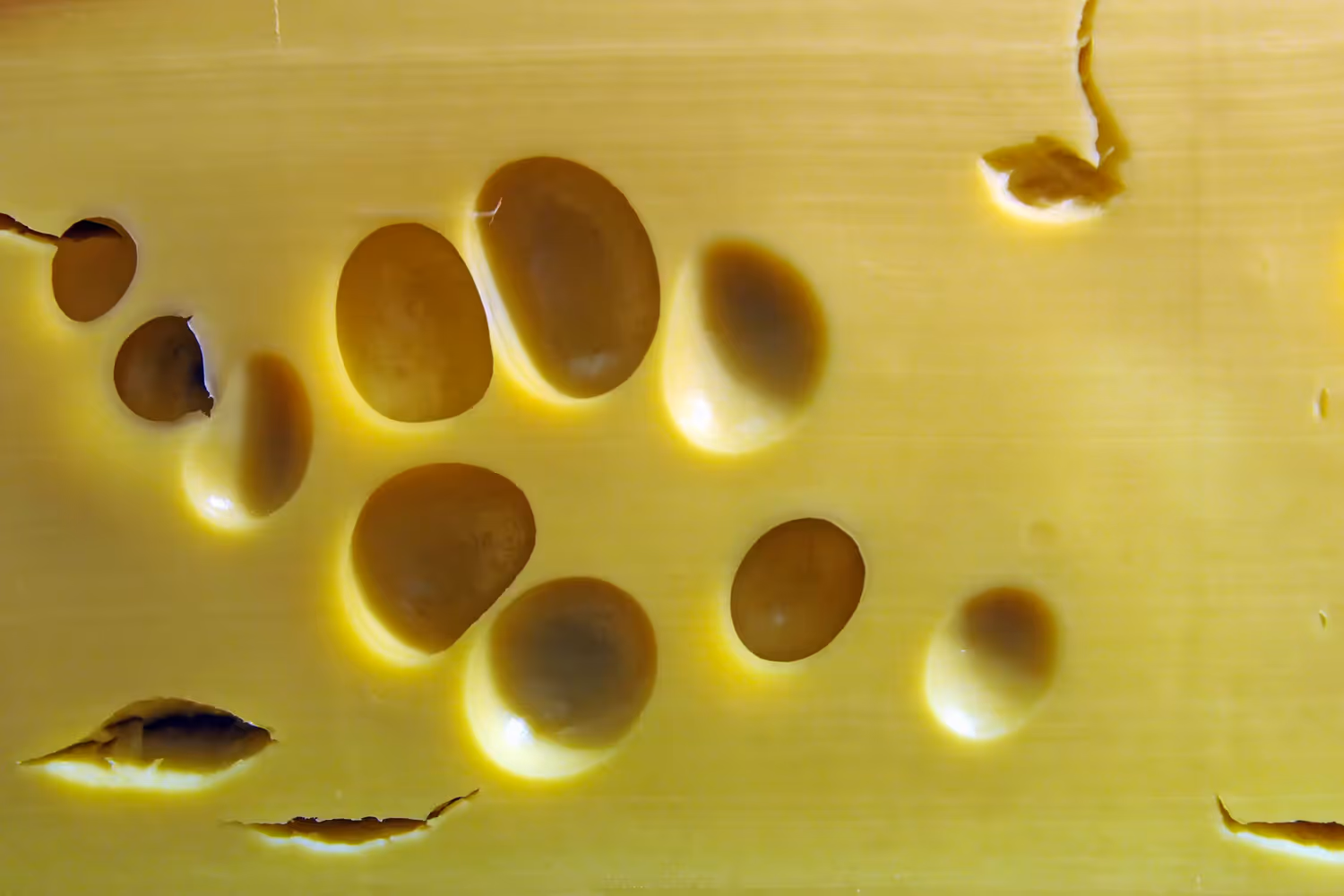 Ein Gefängnisbesucher brachte ein Stück Käse für einen Insassen mit, in dem Cannabisharz versteckt war.