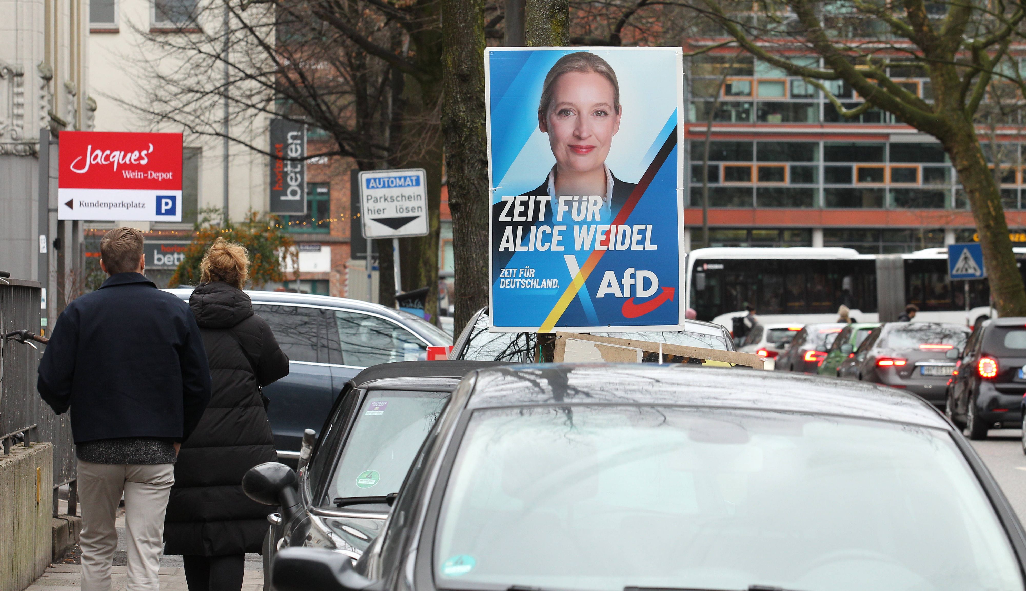 Aktuell liegt die AfD in den Umfragen auf dem zweiten Platz.
