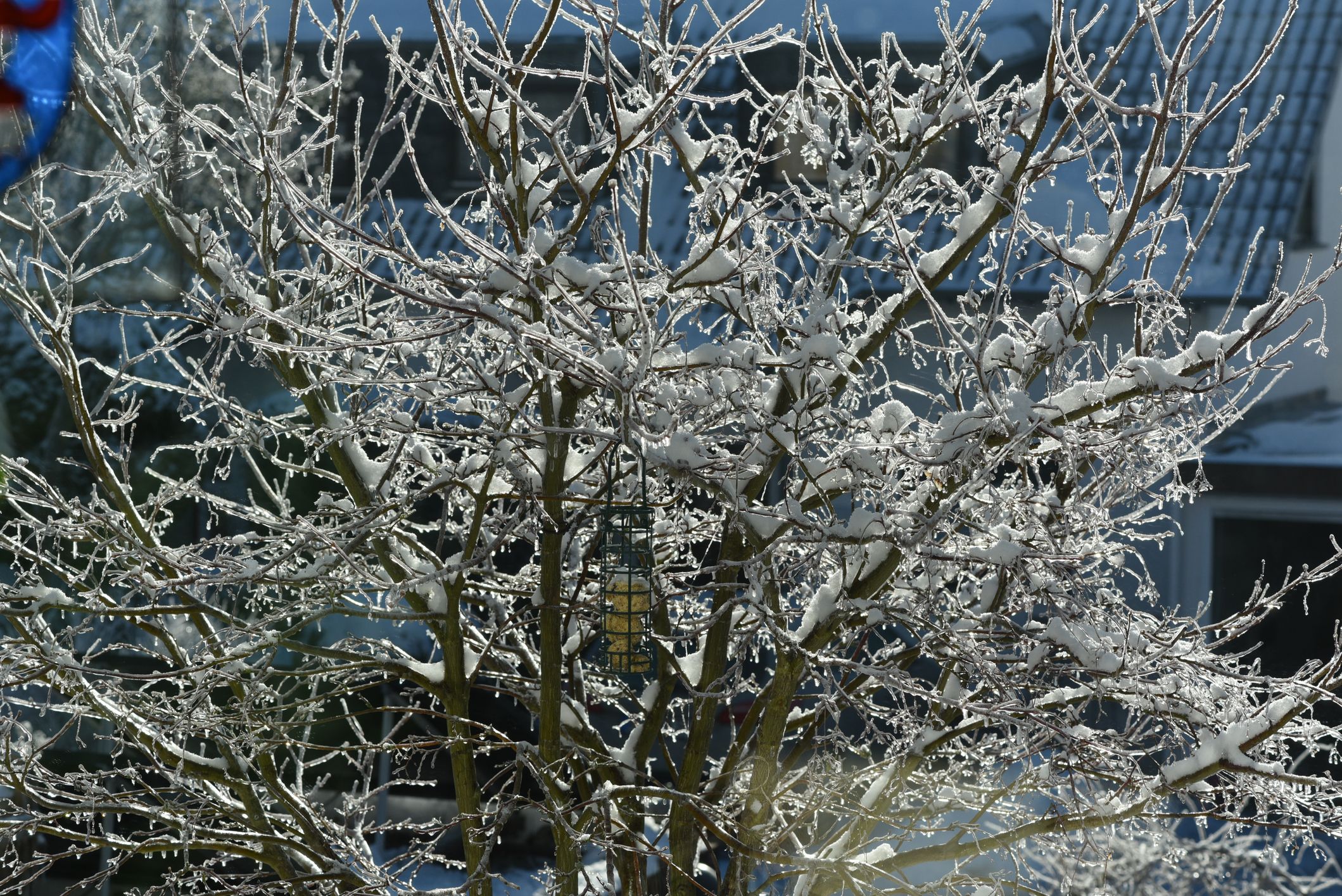 In den kommenden Stunden wird es (nicht nur in Wien) bitterkalt. 