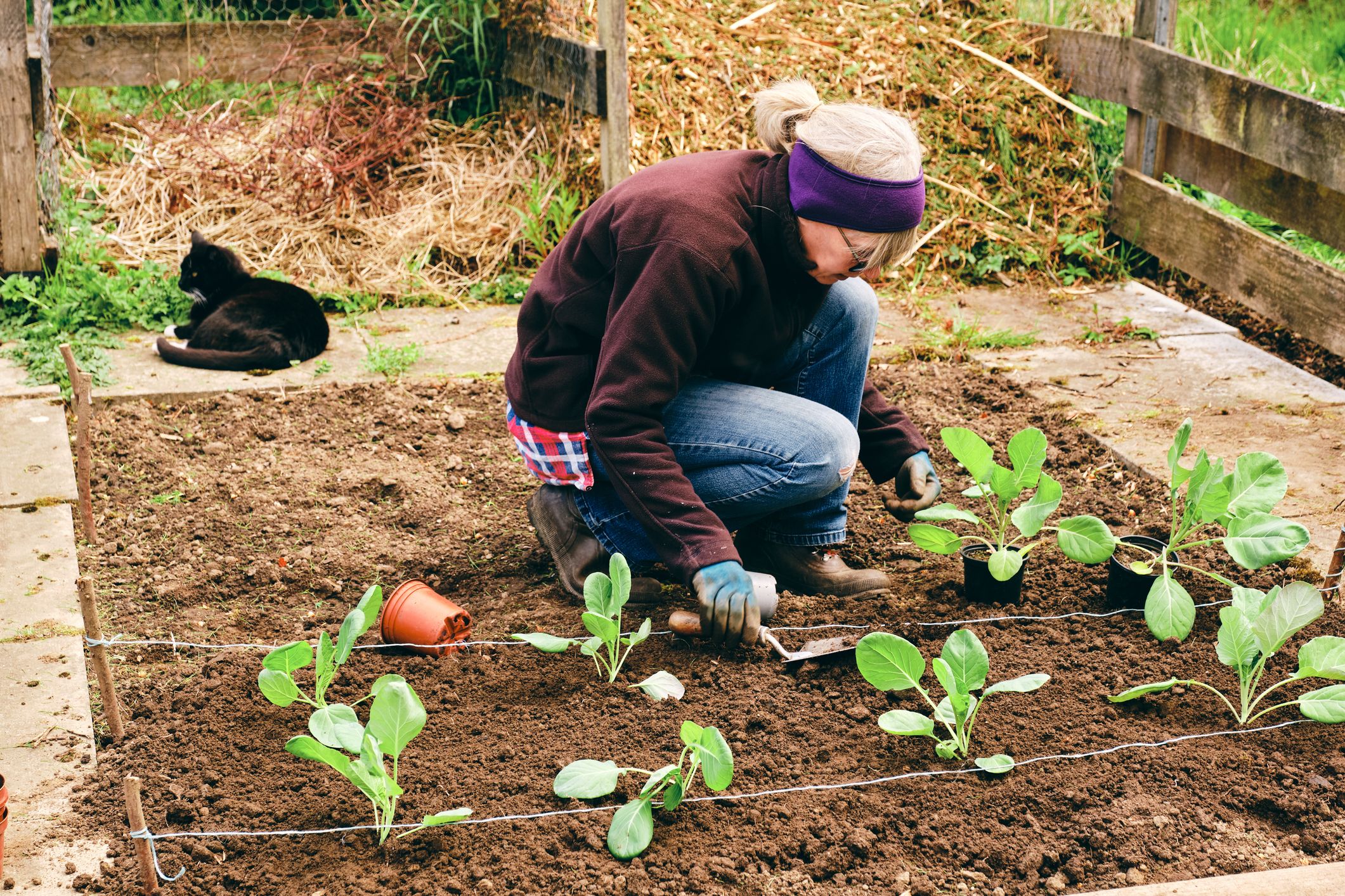 Die Australierin lebt als Selbstversorgerin im Garten einer Freundin – für die sie auch die Hausarbeit übernimmt (Symbolbild)