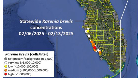 Floridas Naturschutzkommission überwacht die Algenpest.