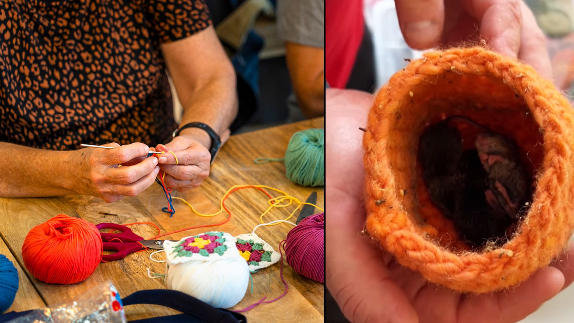 Kleine Nester werden jetzt benötigt, um Tierfrühchen warmzuhalten.