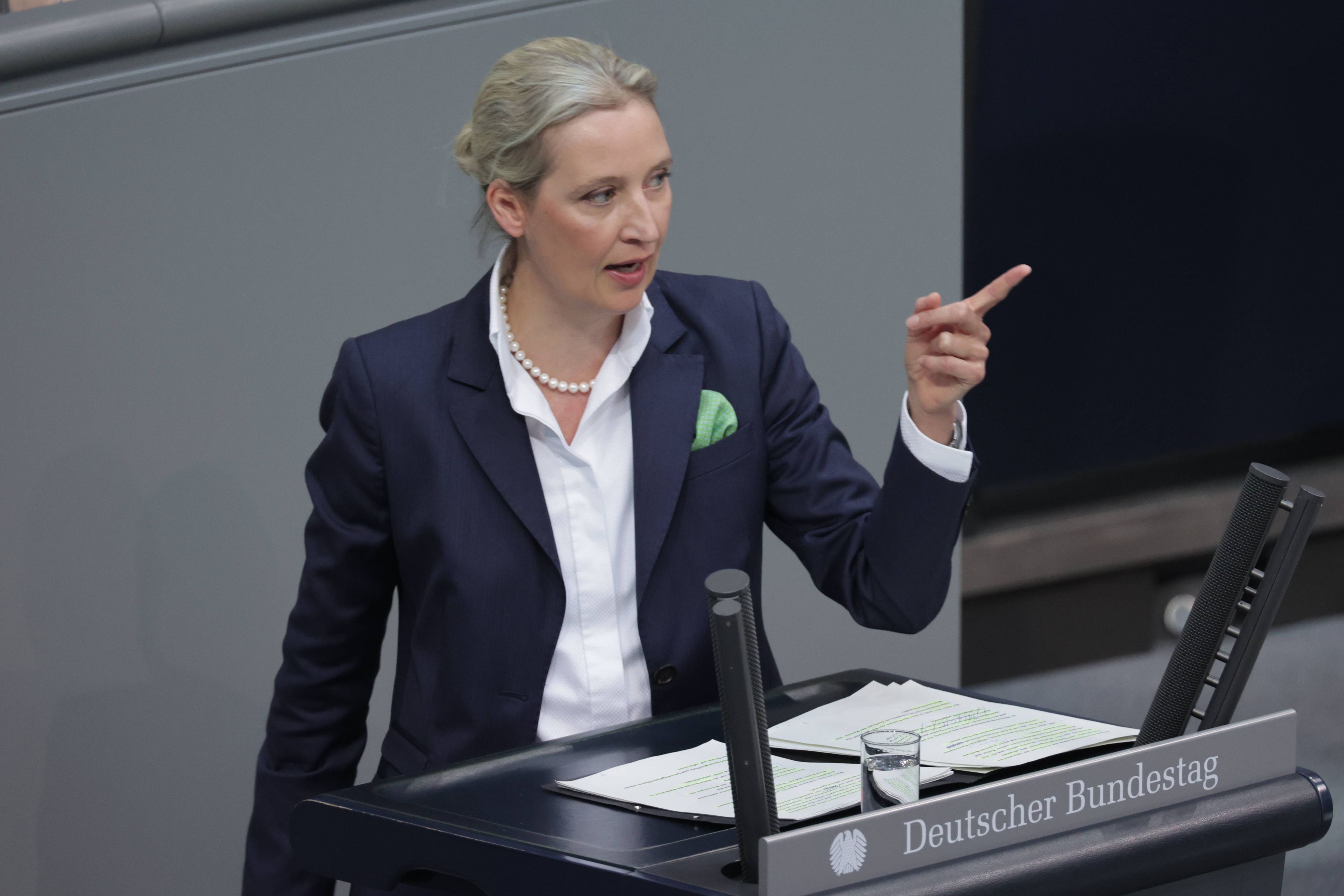 Alice Weidel lebt seit einigen Jahren mit ihrer Familie im schweizerischen Einsiedeln.