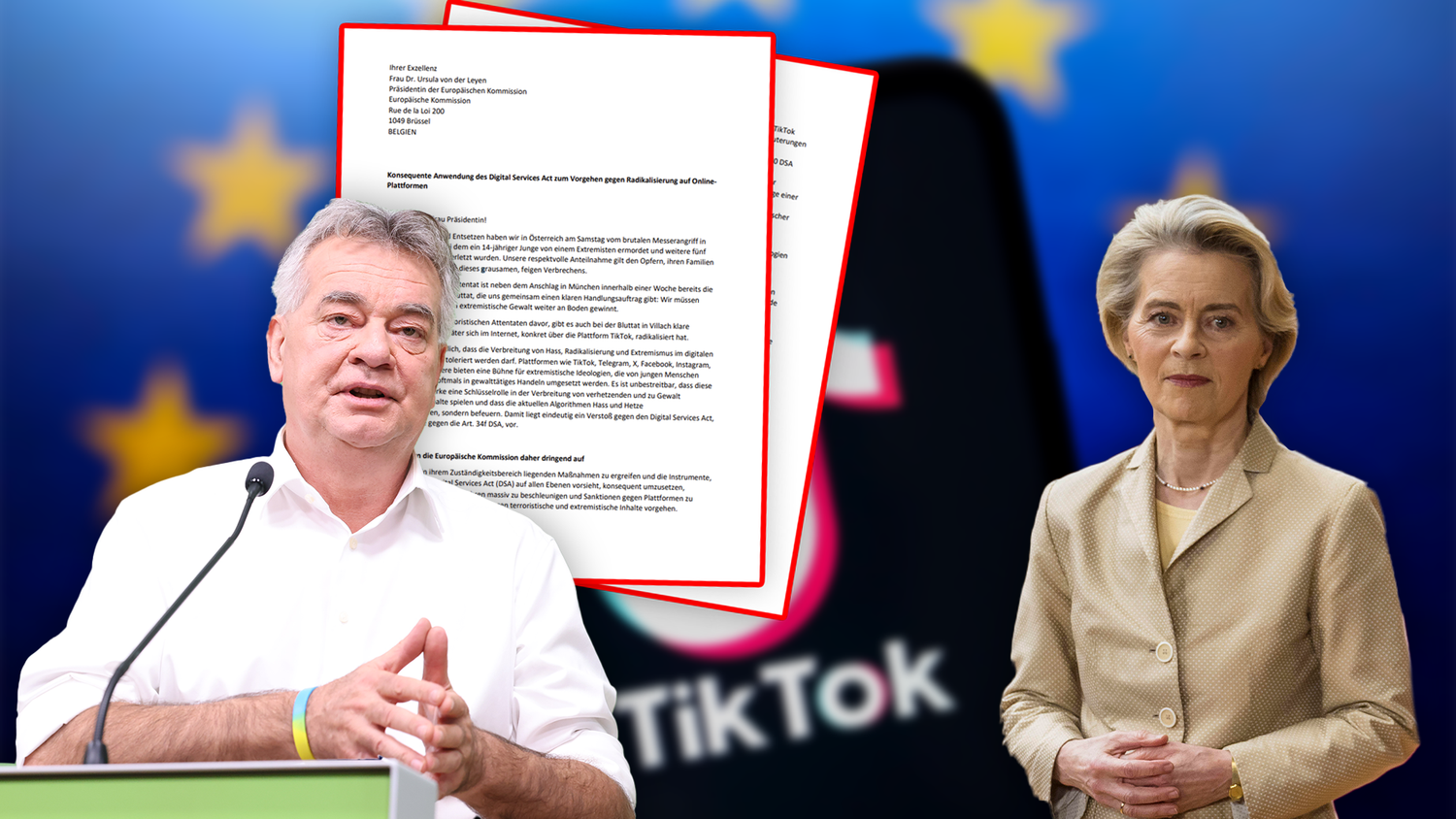 In einem Brief fordert Grünen-Chef Werner Kogler die EU-Kommission nun zu Maßnahmen gegen TikTok auf.