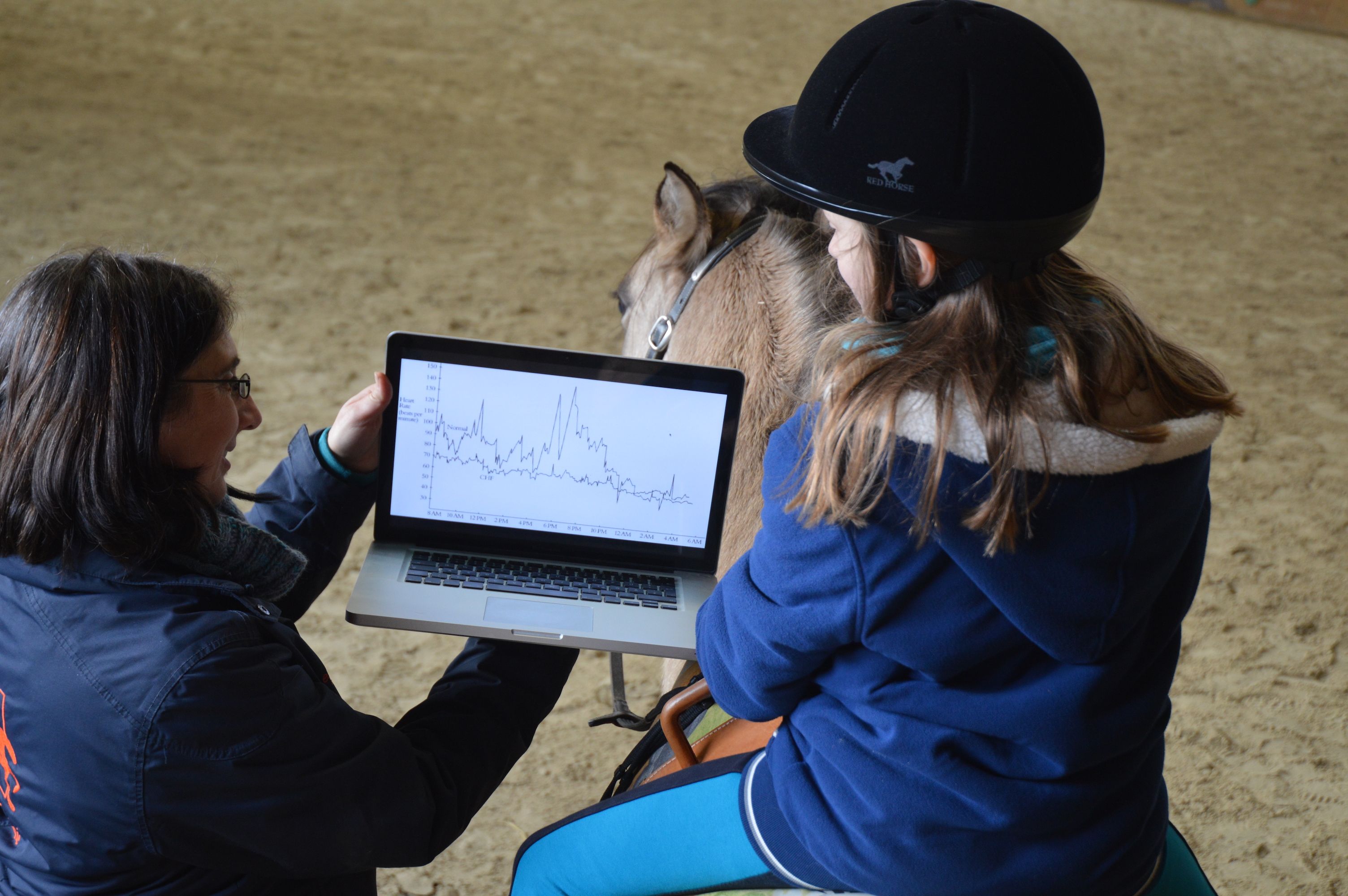 Der Lichtblickhof bietet Hospizbegleitung mit Tieren, Trauerbegleitung und Traumatherapie mit Pferden in Wien und Niederösterreich an.