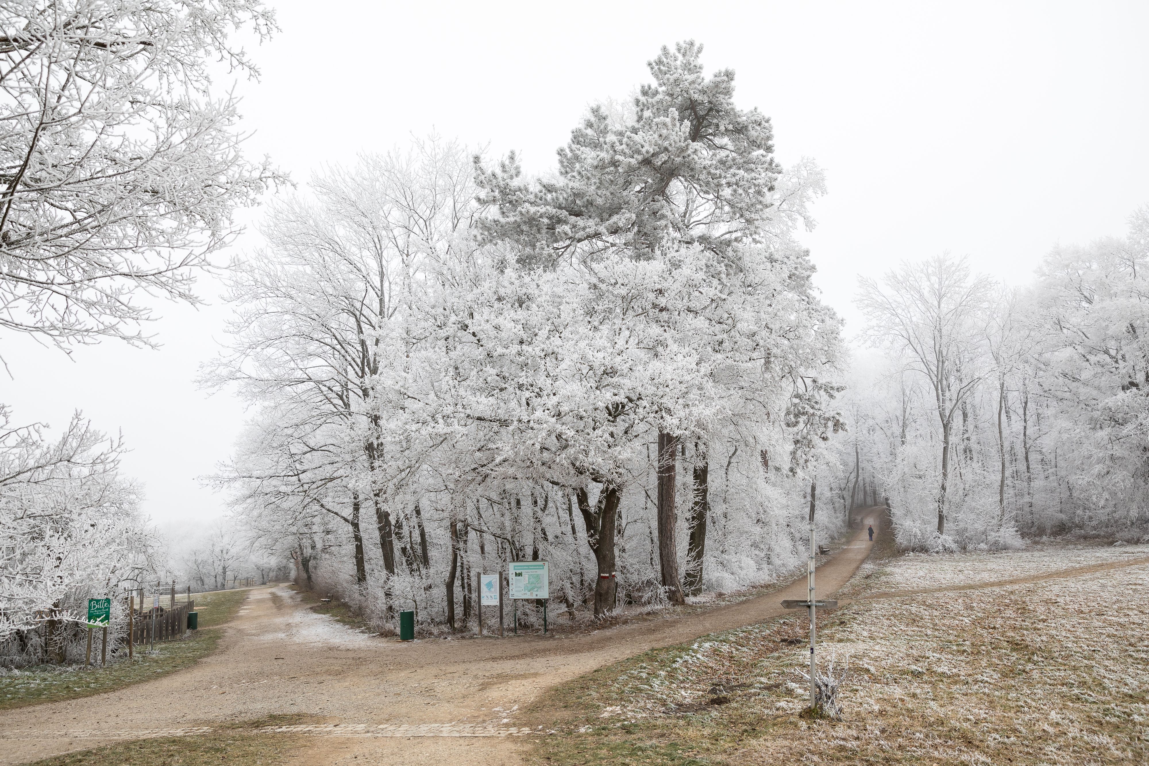 Die Temperaturen in Österreich bleiben weiter frostig. (Symbolbild)