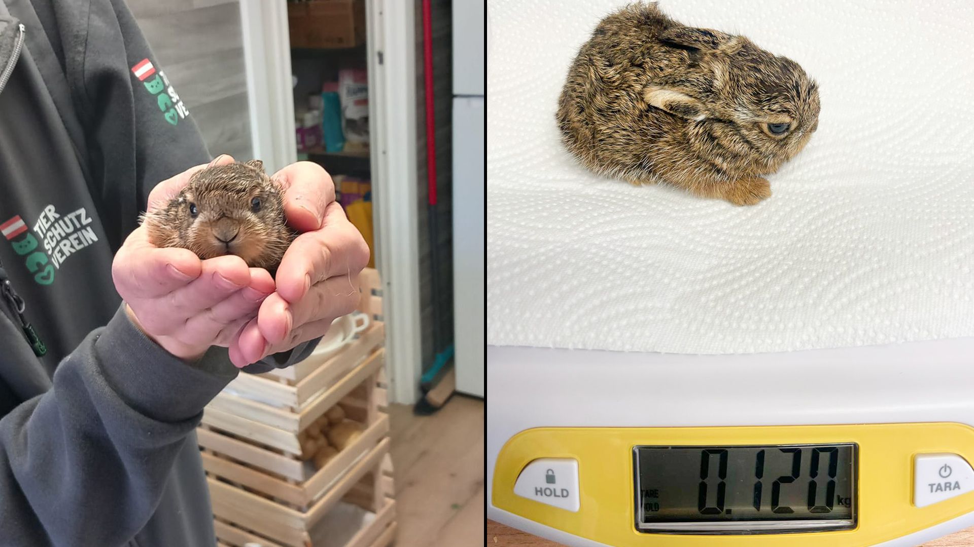 Nur 120 Gramm wiegt der kleine 