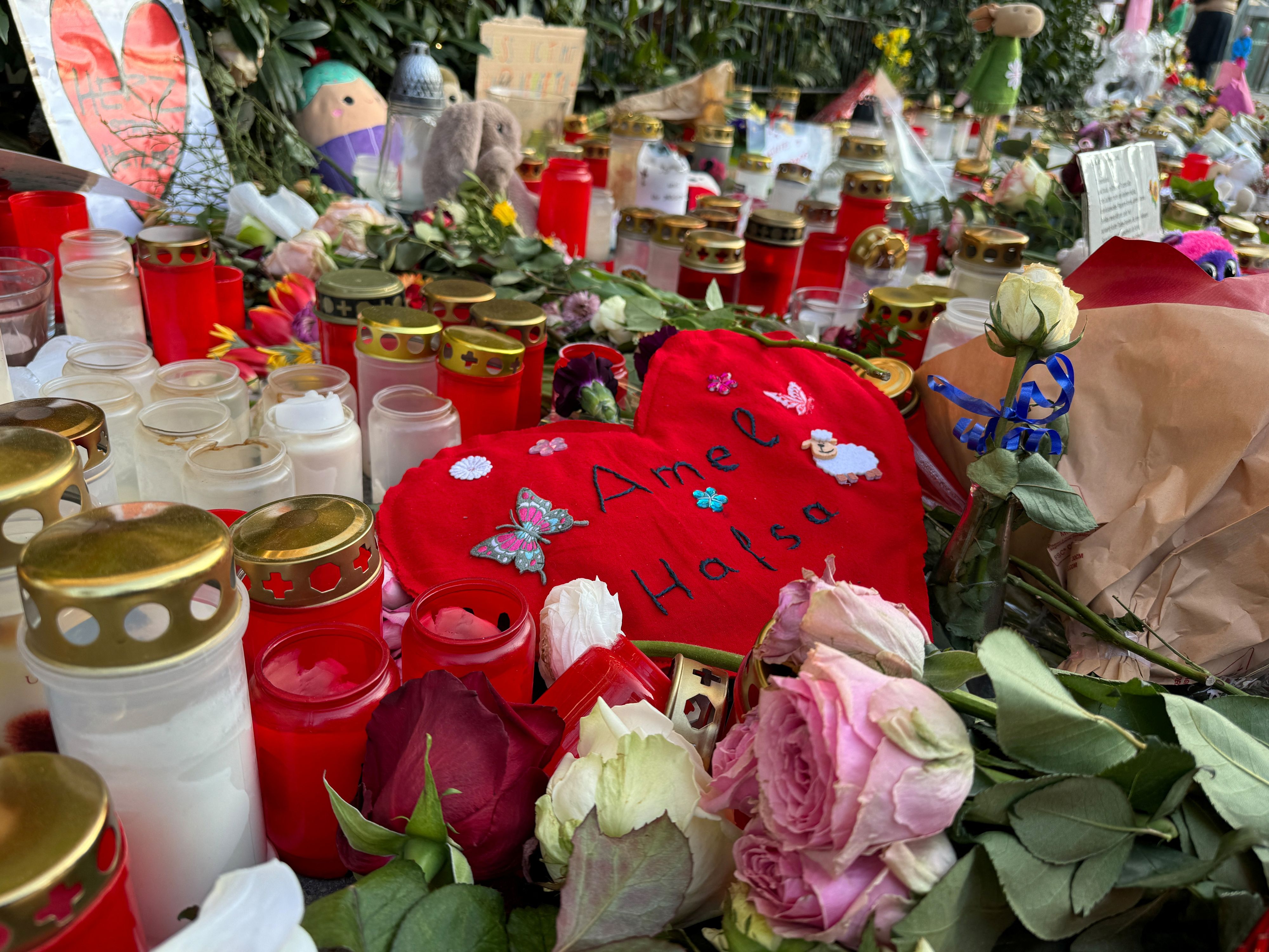 In München lenkte der 24-jährige Farhad N. sein Auto in eine Gewerkschafter-Demonstration. Die 37-jährige Amel und ihre zweijährige Tochter Hafsa wurden dabei getötet.