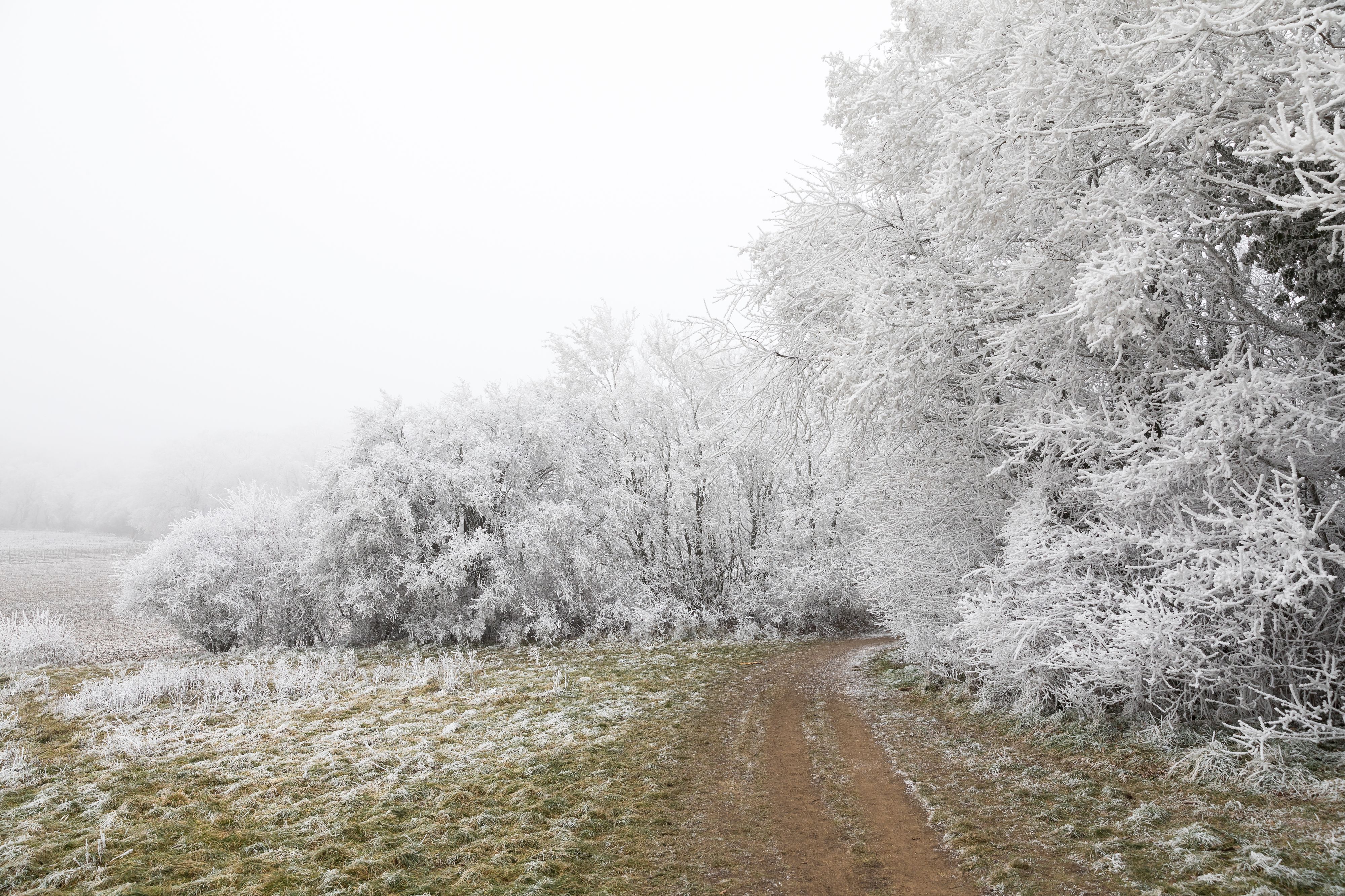 Im Laufe der Woche feiert der Winter sein Comeback in Österreich. (Symbolbild)