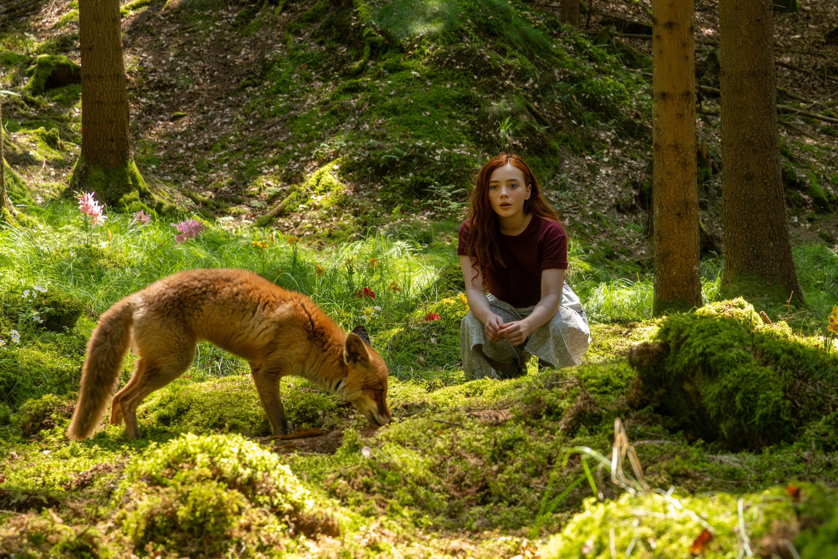 Ava Petsch spielt die junge Hexe Willow, die im Wald ihre Zauberkräfte entdeckt. Fuchs Rufus weicht ihr bei ihren magischen Abenteuern nicht von der Seite.