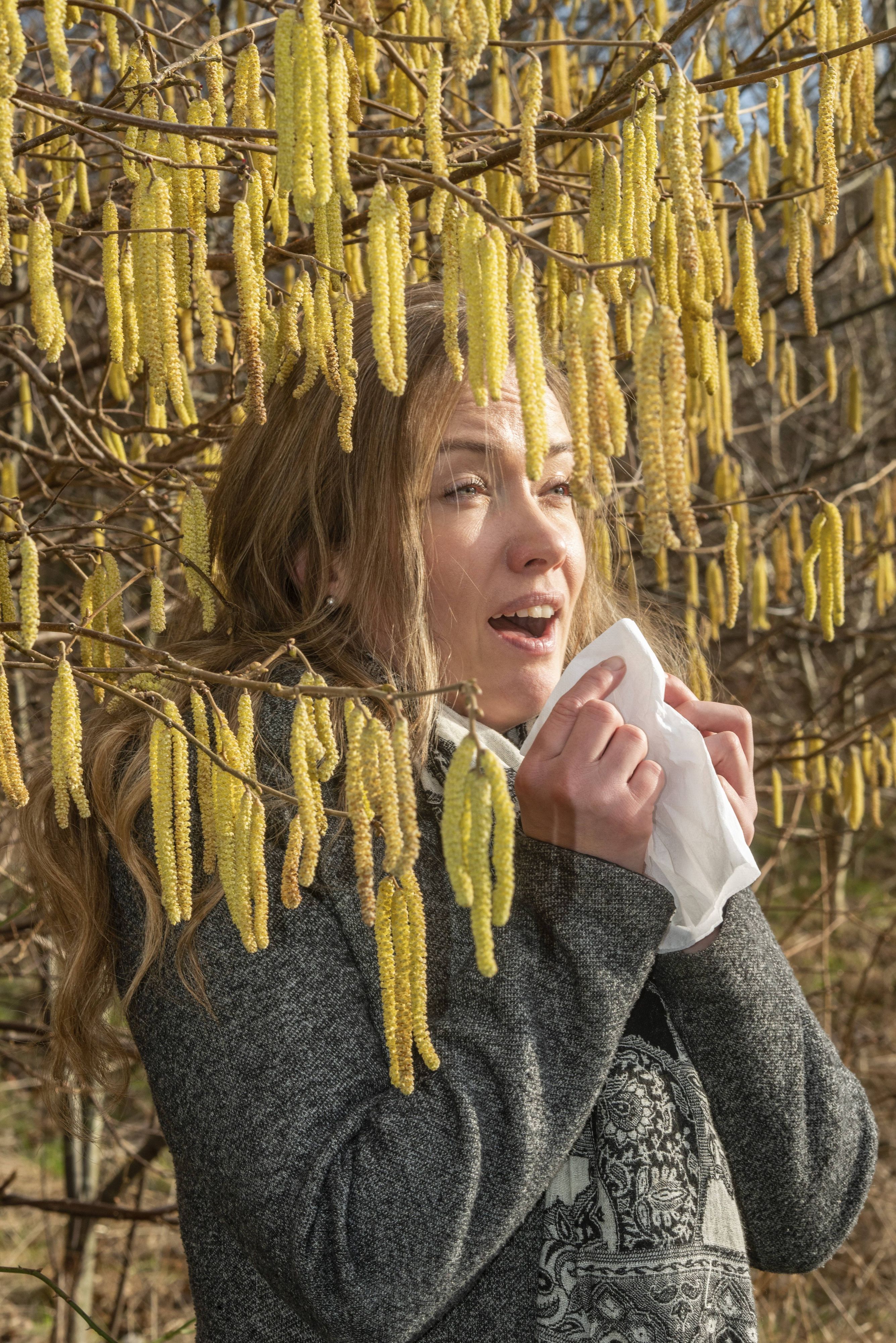 Die Pollen sind zurück, und mit ihnen die Allergien.
