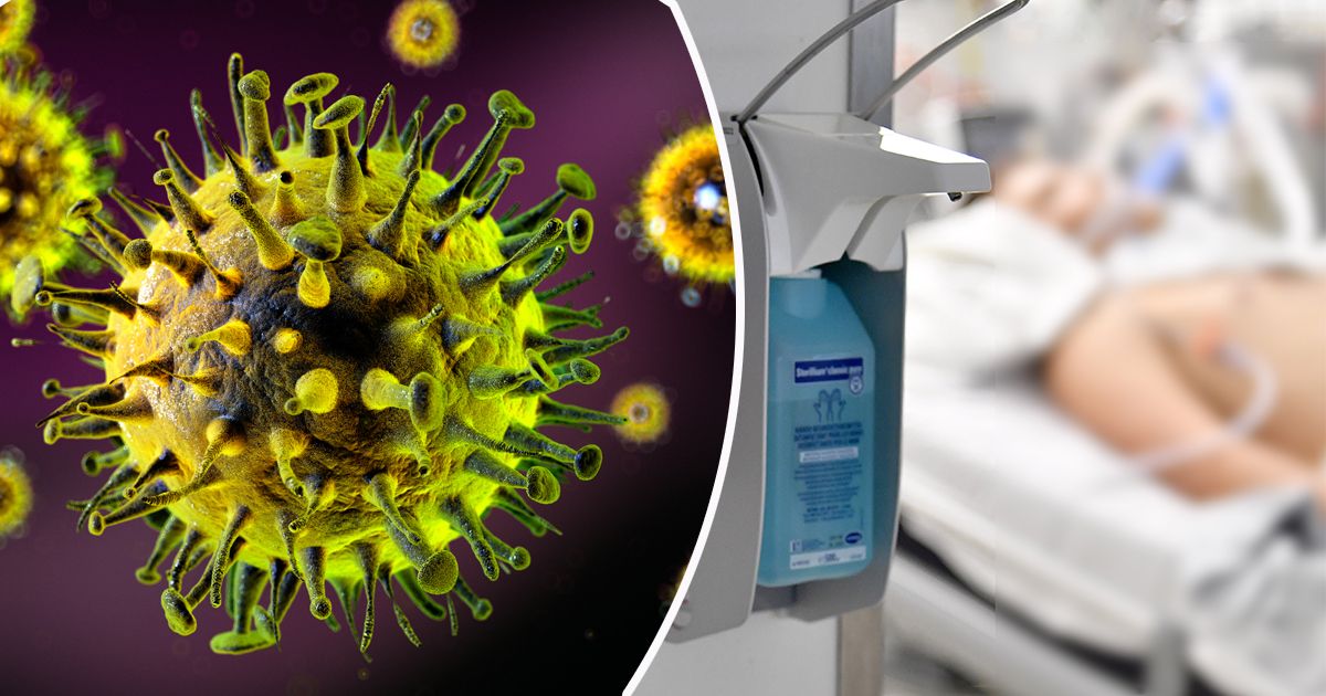 Das Grippevirus wütet nicht nur in Österreich, sondern in ganz Europa und auch in den USA.