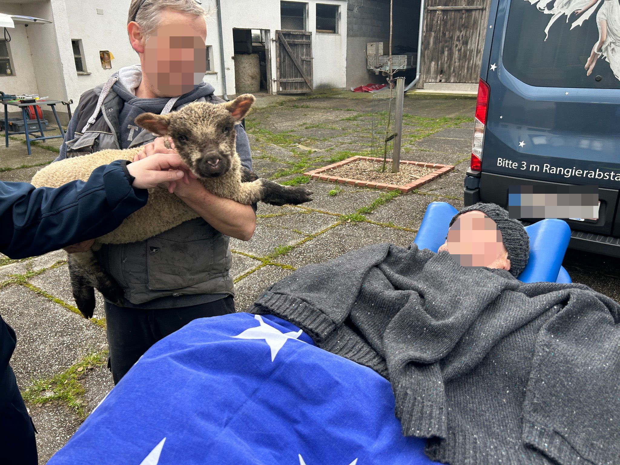 Besondere Überraschung am Hof: ein wenige Wochen altes Lämmchen
