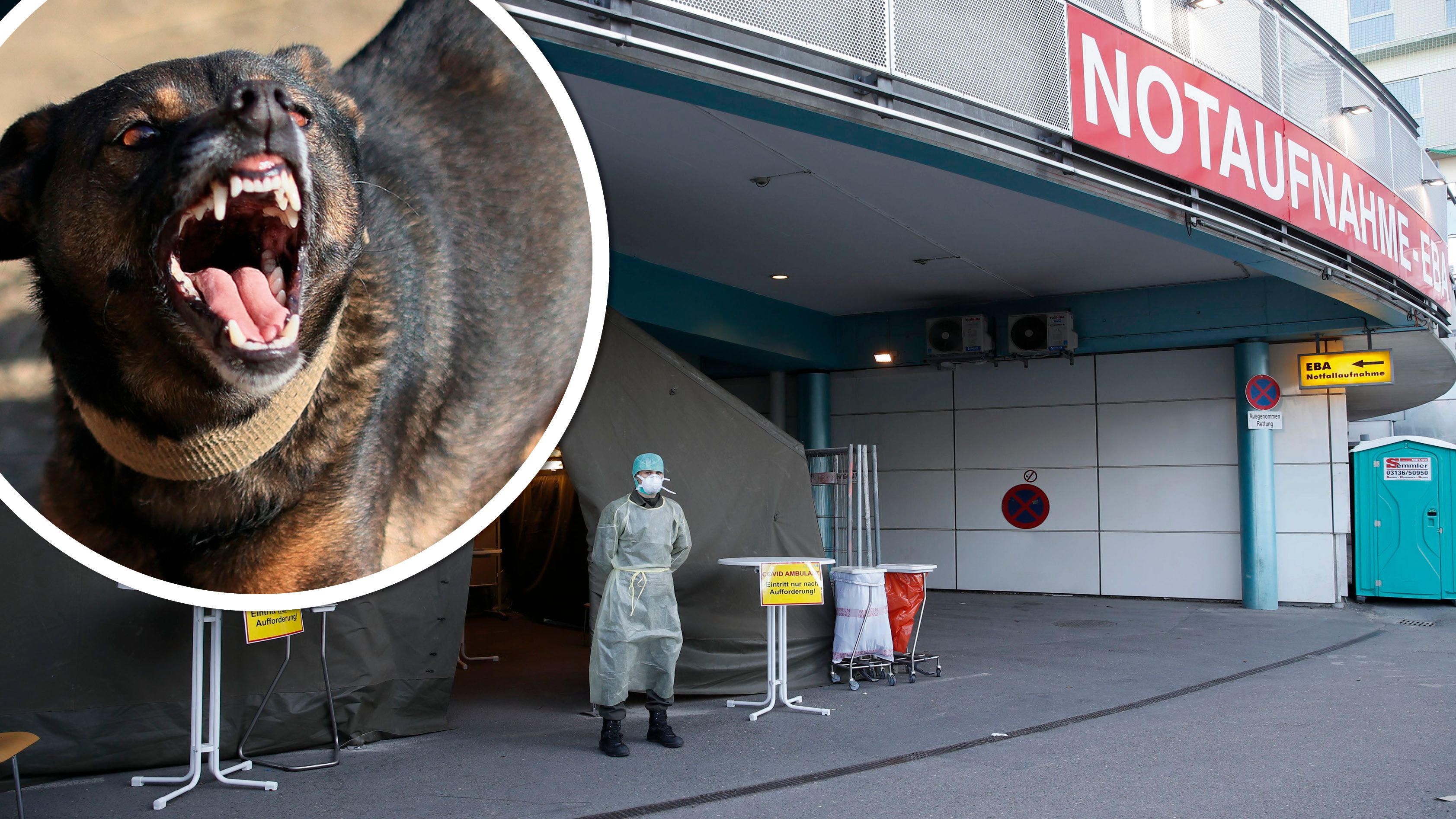 Nach Hunde-Angriff: Hier im LKH Graz wird das Opfer noch einmal operiert.