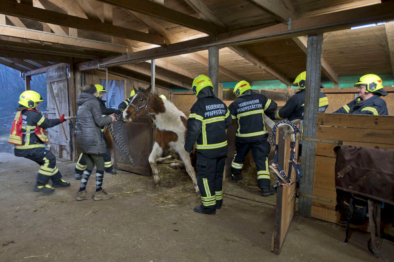 Feuerwehr half Stute 