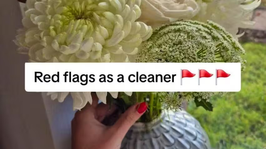 Ihr Video über Red Flags bei ihren Kunden wurde bereits über 775.000 Mal angesehen.