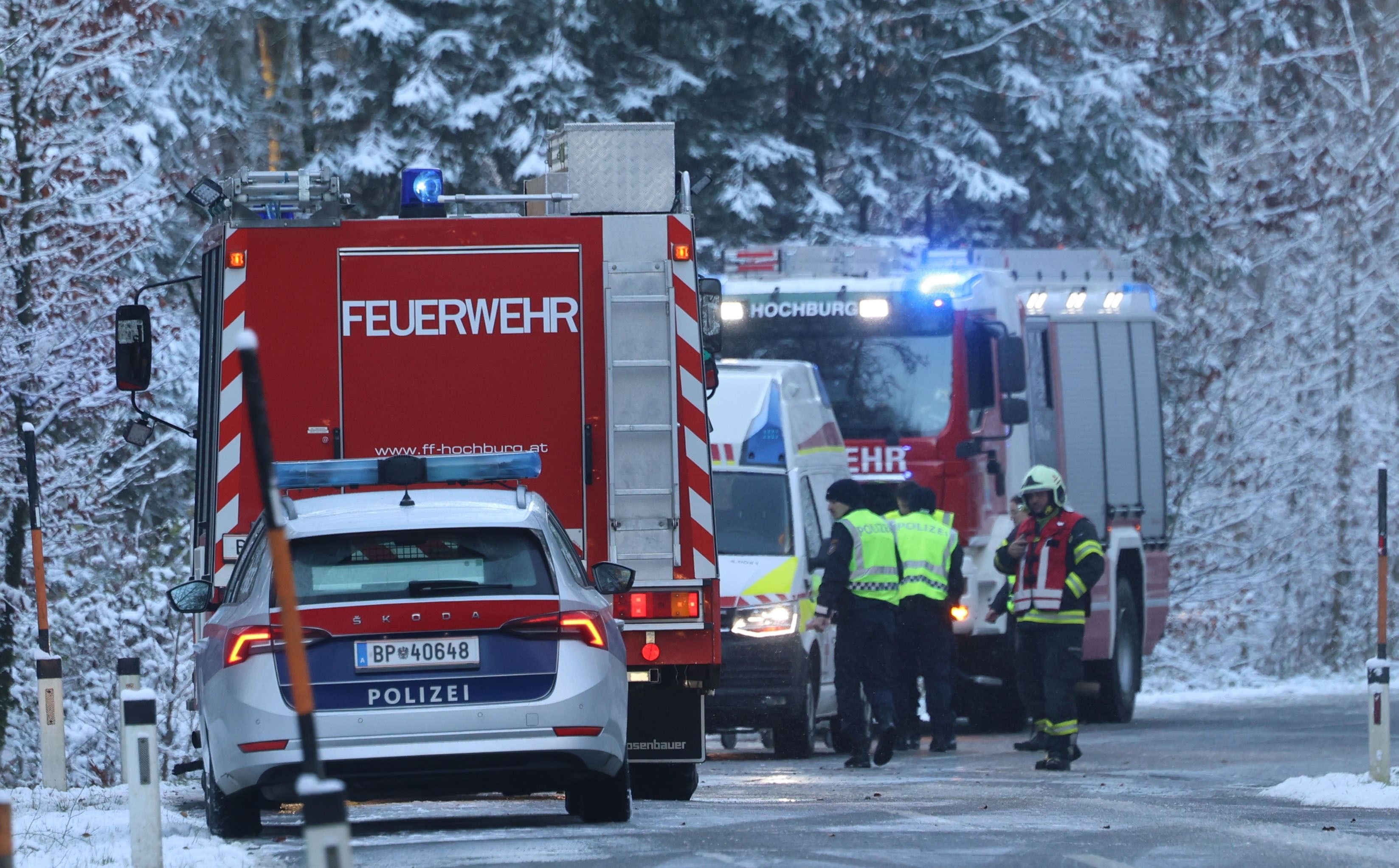 Eine Unfallstelle im Wald. Symbolbild