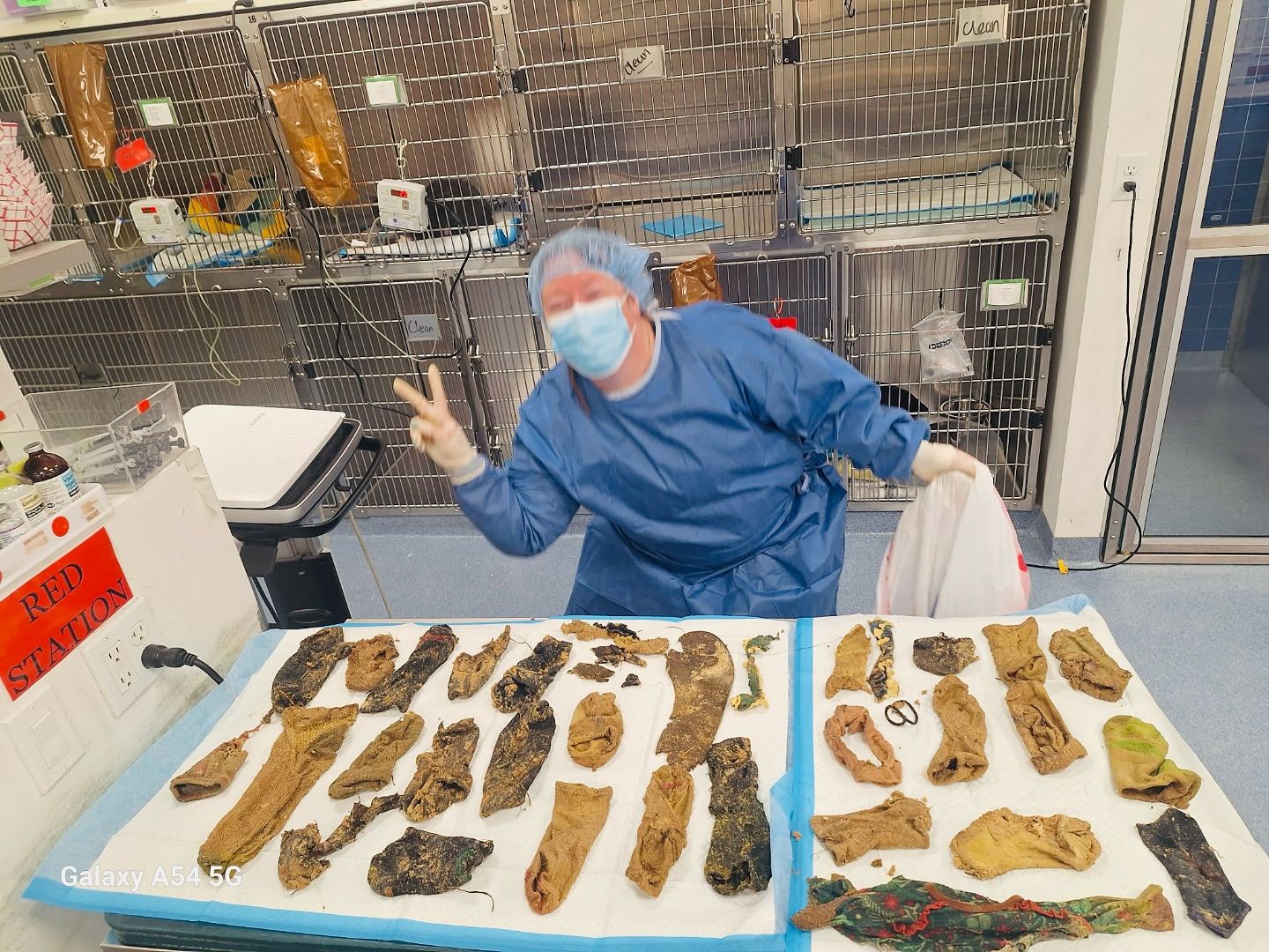 Tierärztin Dr. Jenny nach der Notoperation des Hundes.