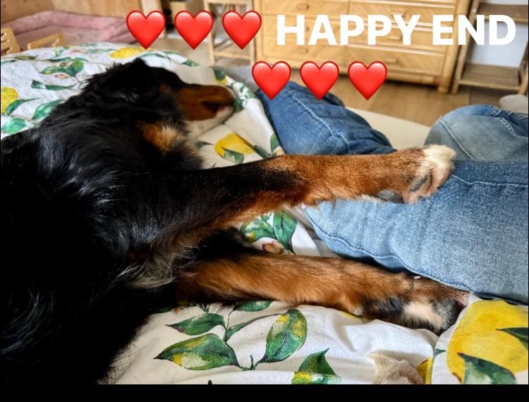 Jetzt wird einmal ganz viel gekuschelt, geschlafen und gefressen.