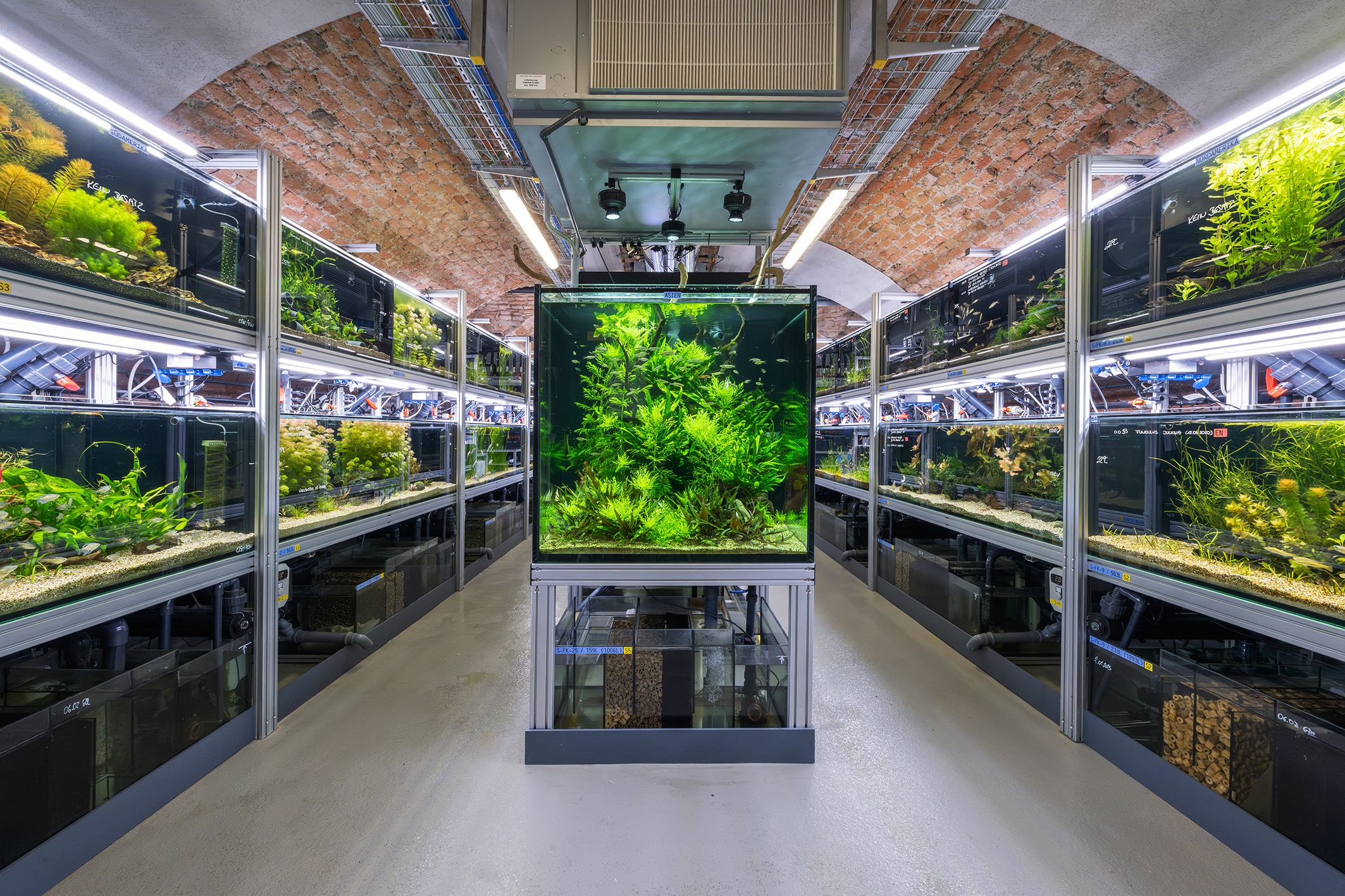 Mittlerweile sind alle 90 Süßwasserarten erfolgreich umgezogen.