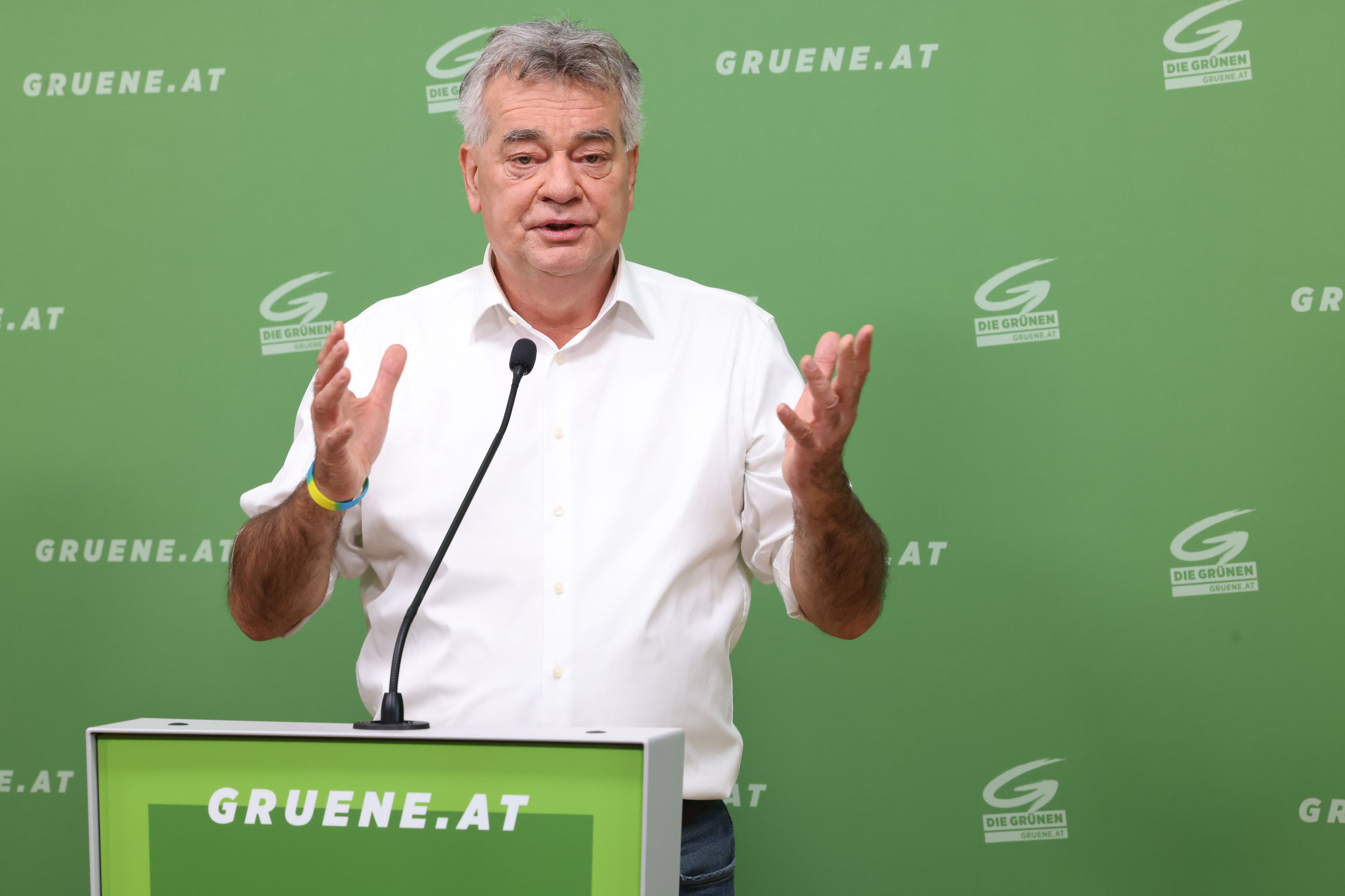 Grünen-Chef Werner Kogler kritisierte die Ampel-Pläne.