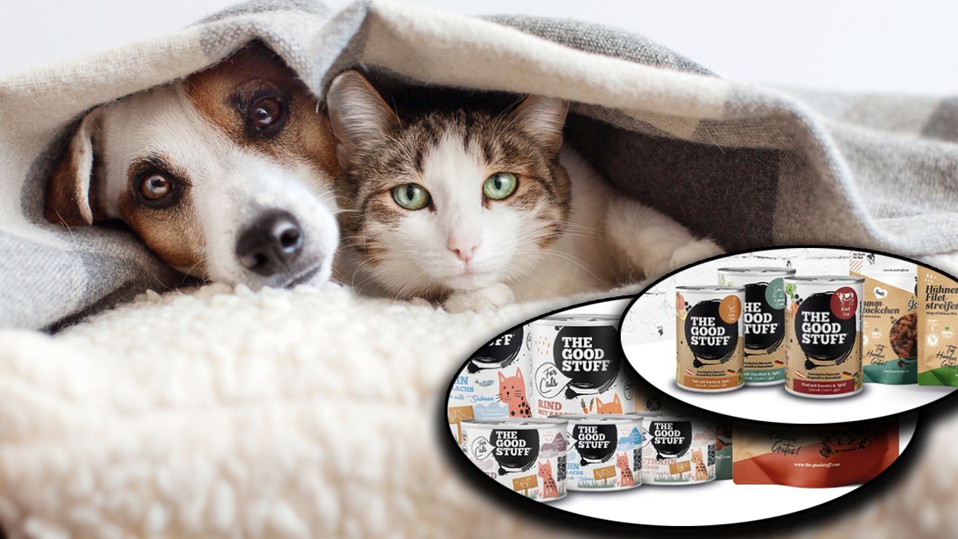 Hund und Katze sind mit 