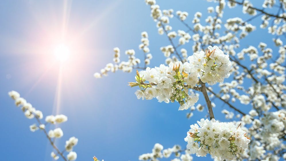 Heute.at - Nach Schnee-Chaos sagt Experte nächsten Hammer an