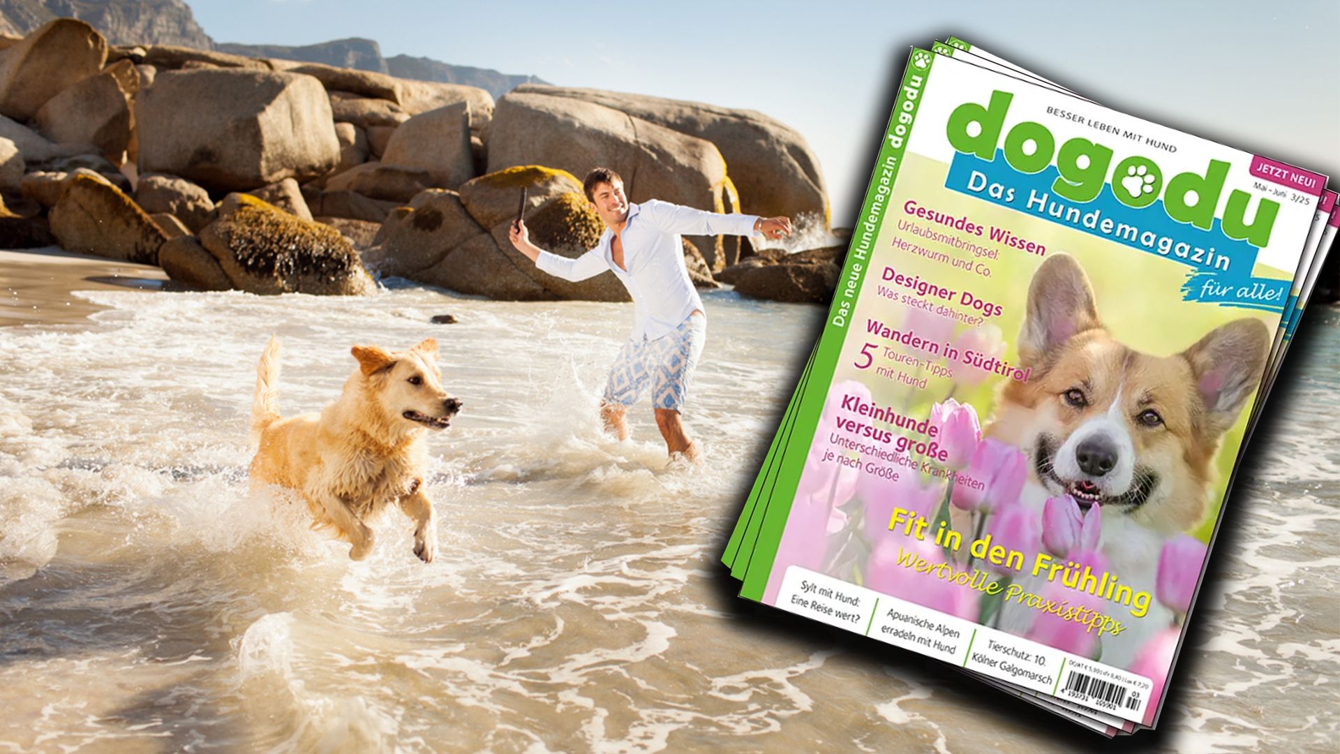 Heute.at - Neues Reise-Magazin für Hunde verspricht tolle Angebote