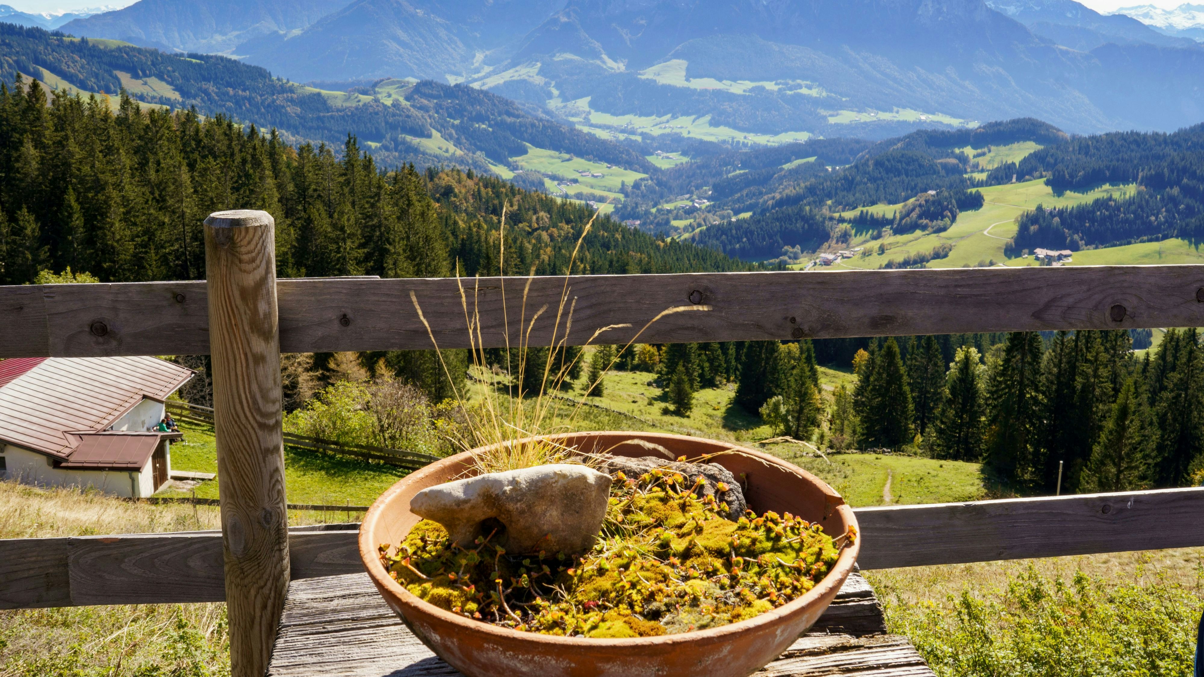 Wer keinen Schnee zum Skifahren findet, geht im Beyrischen Wald wandern.