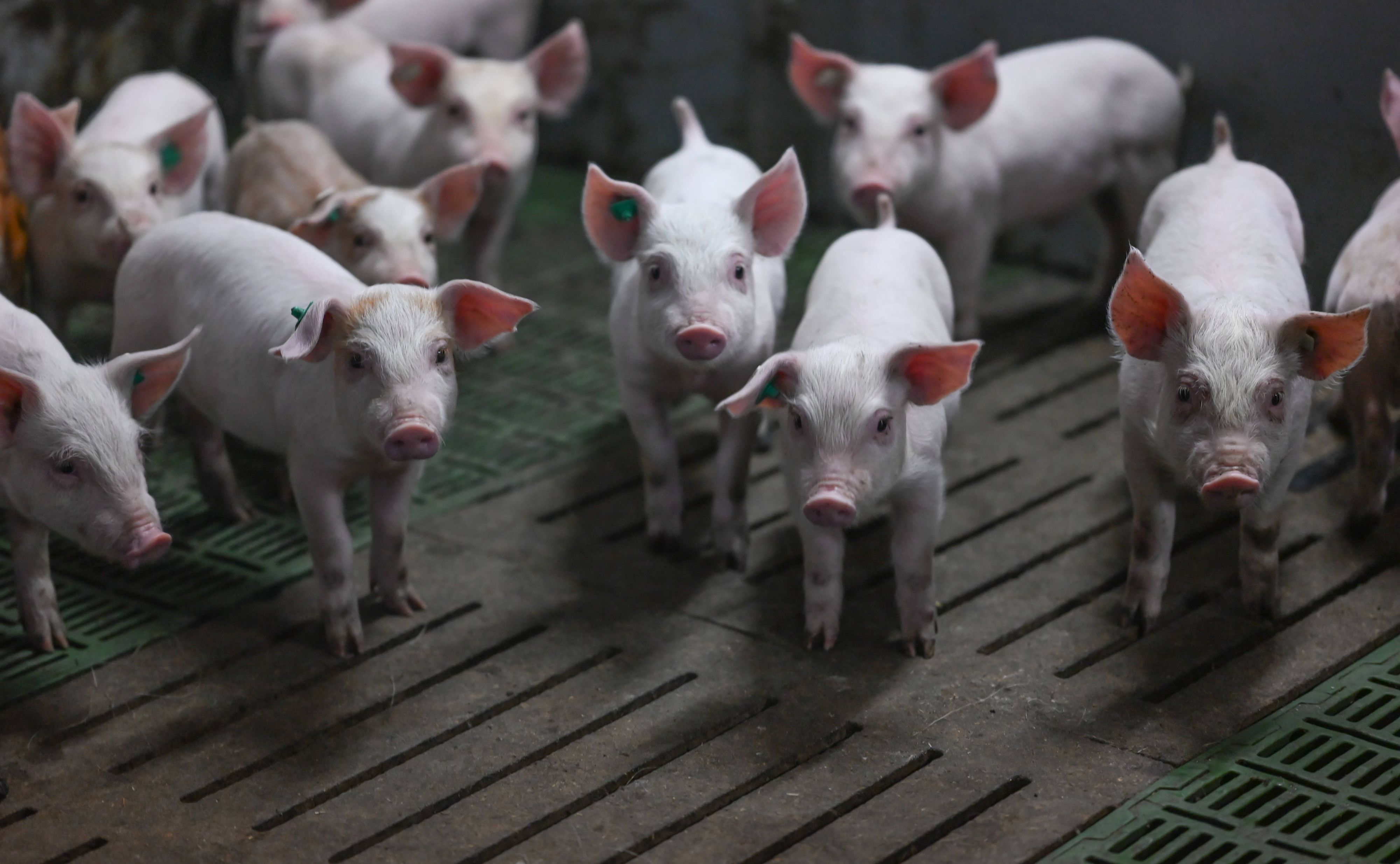 Lediglich die völlig sinnlose Änderung sogenannter 